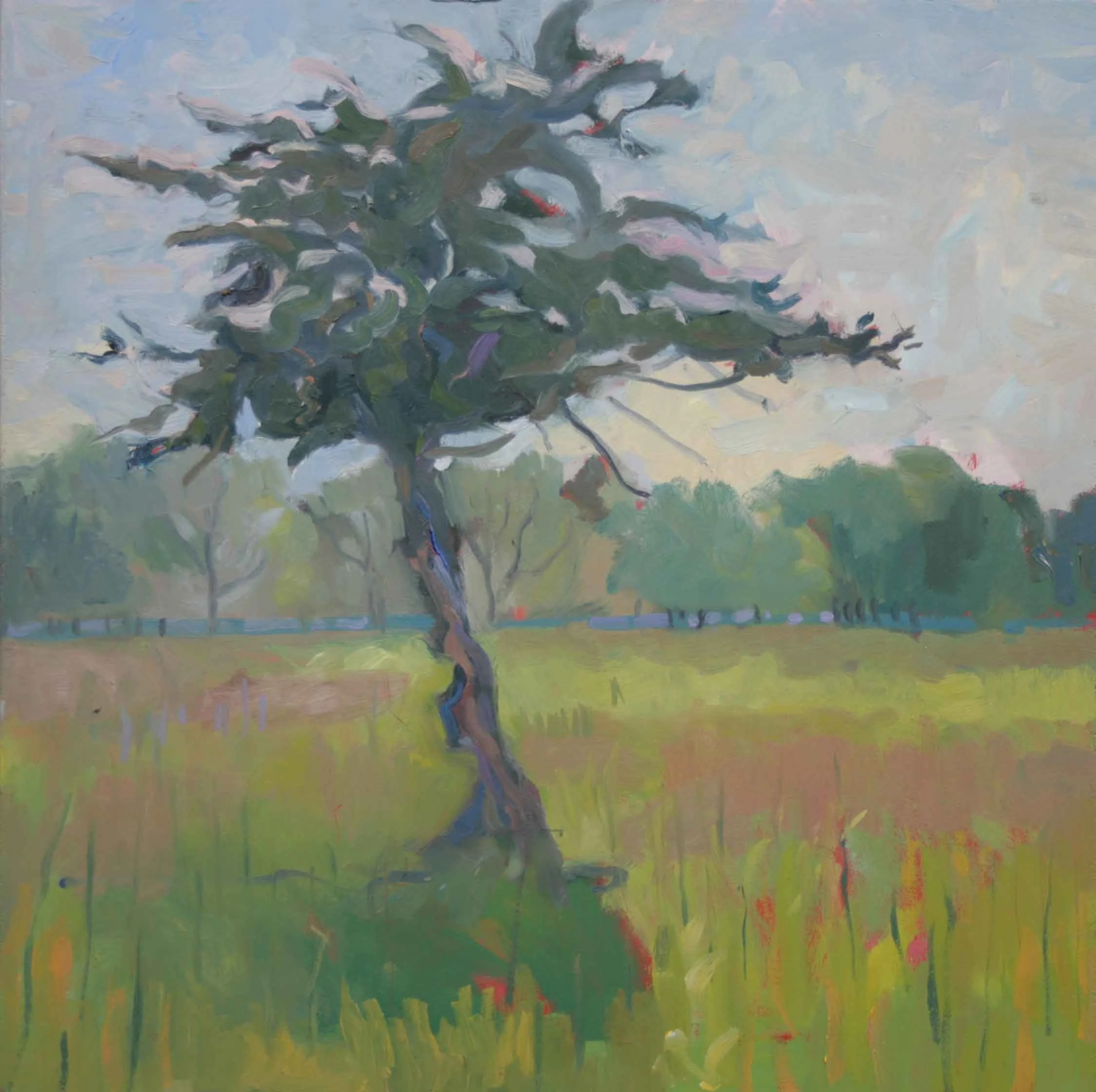 Little Tree 300 x 300