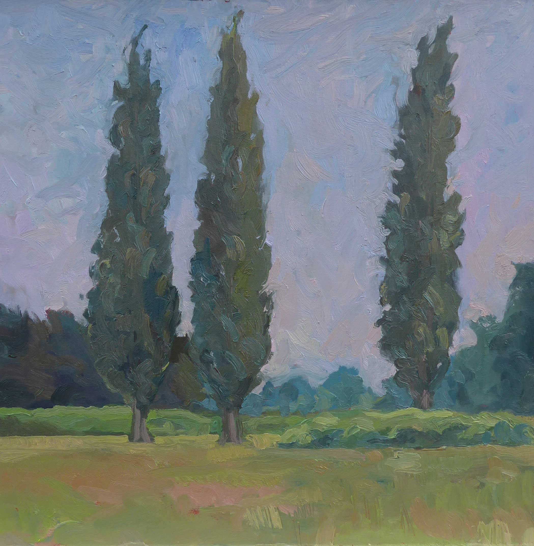 Poplars  300 x 300