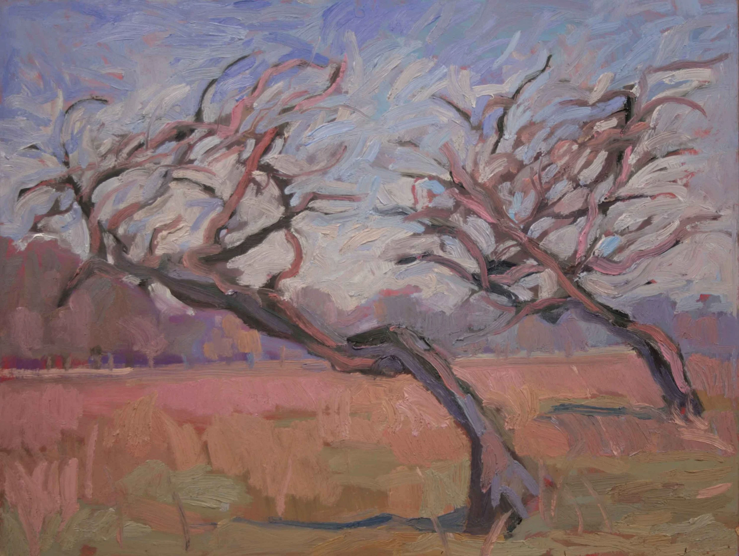 Winter Blown 230 x 300