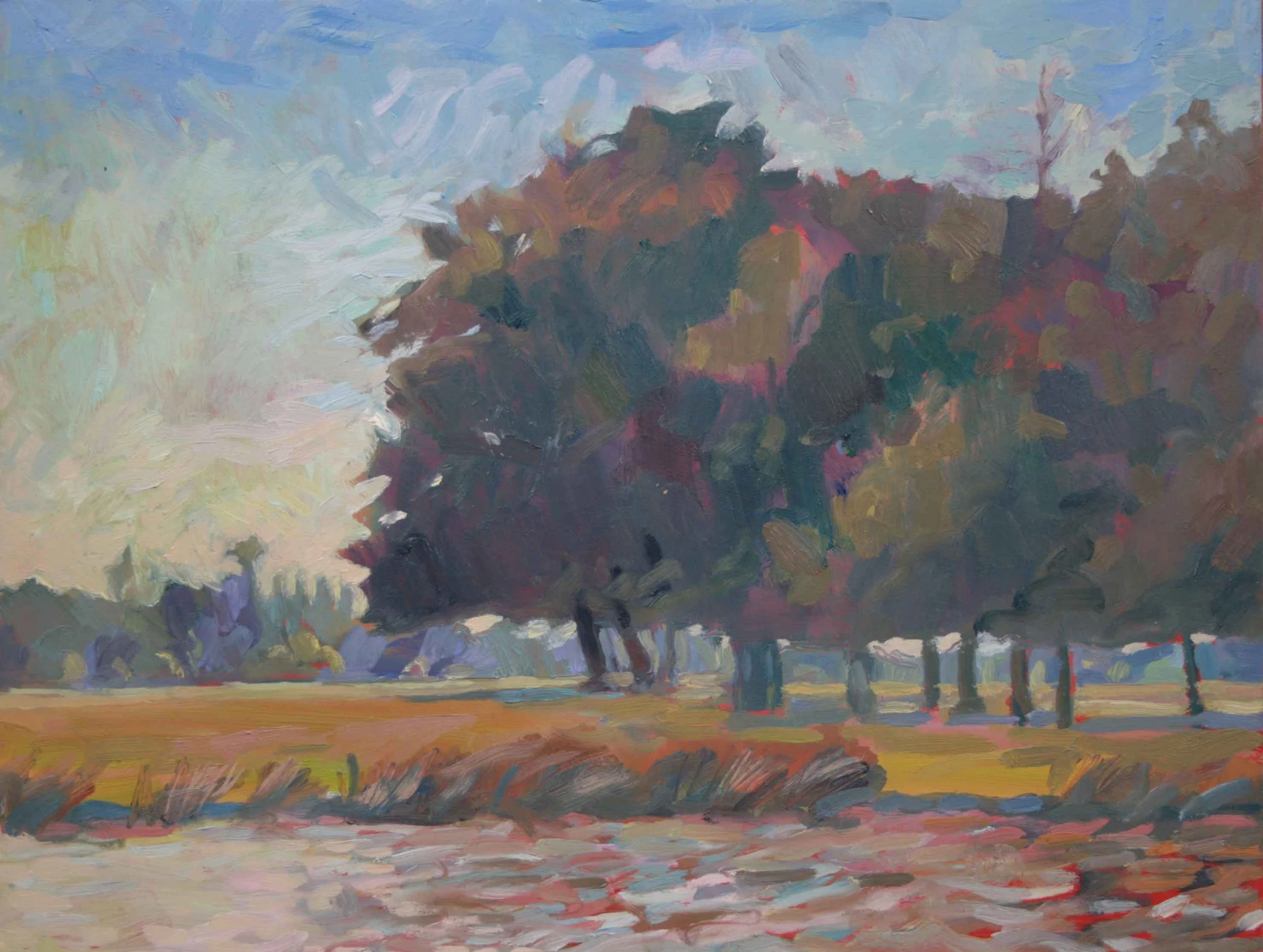 Lakeside 230 x 300