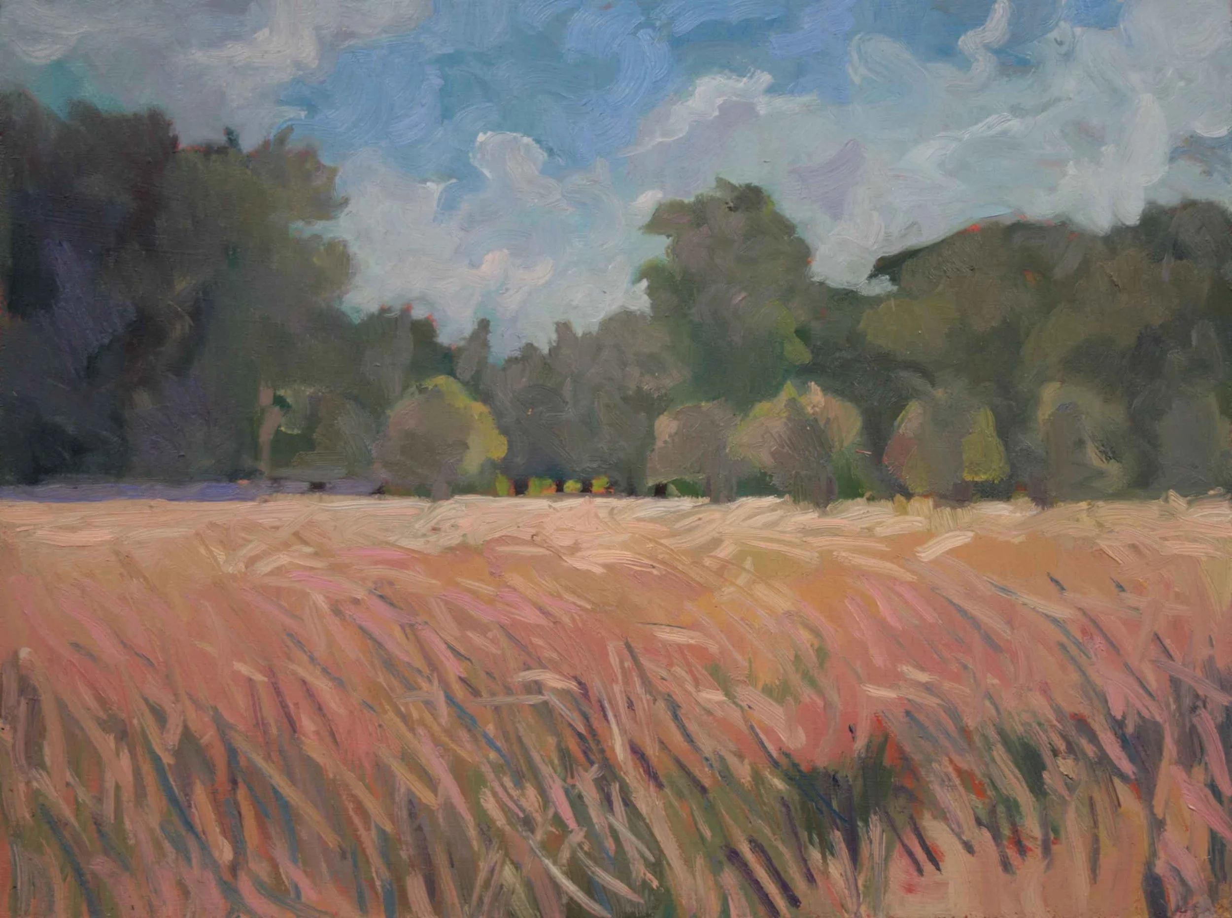 Grass 230 x 300