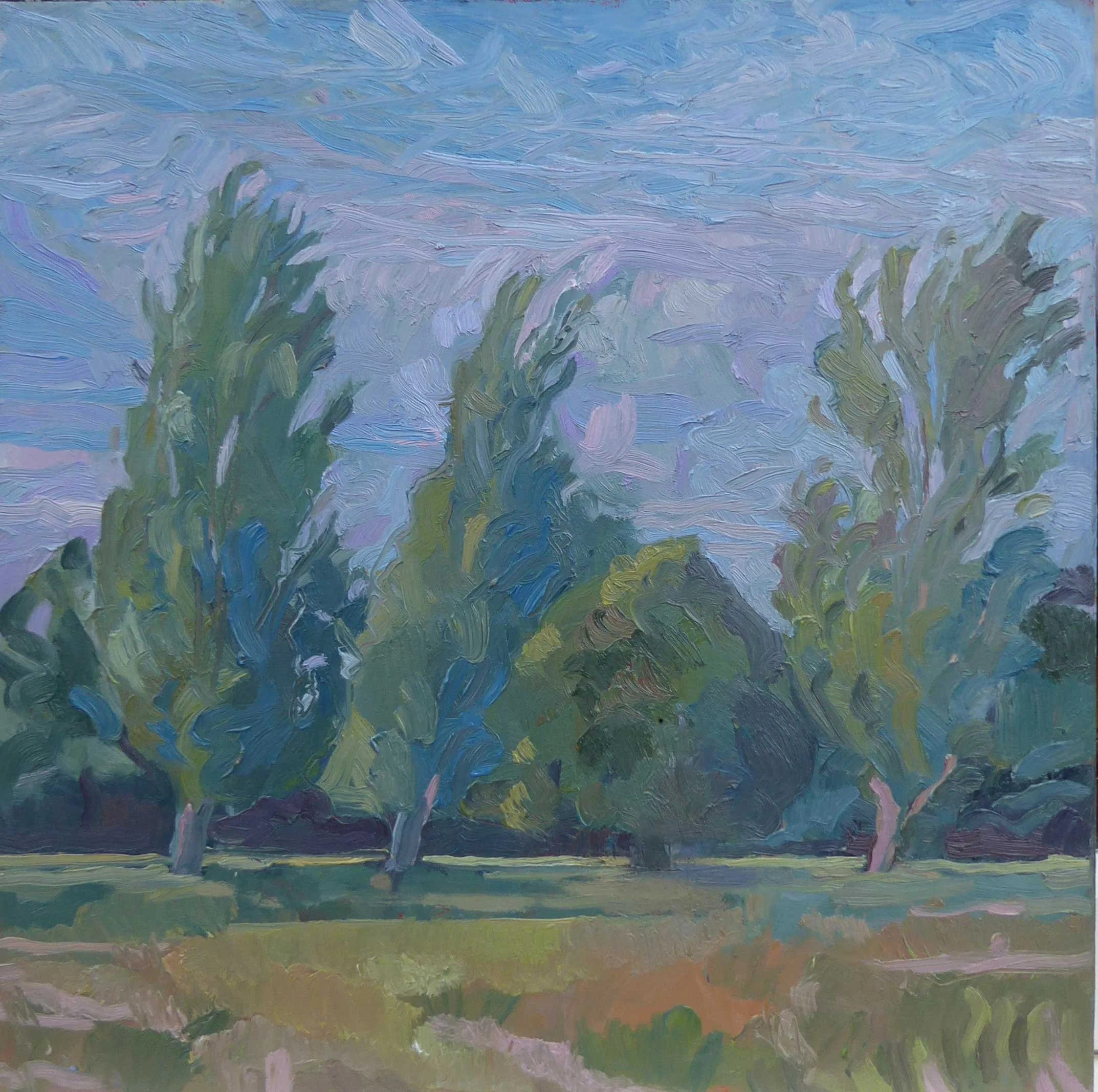Gust  300 x 300