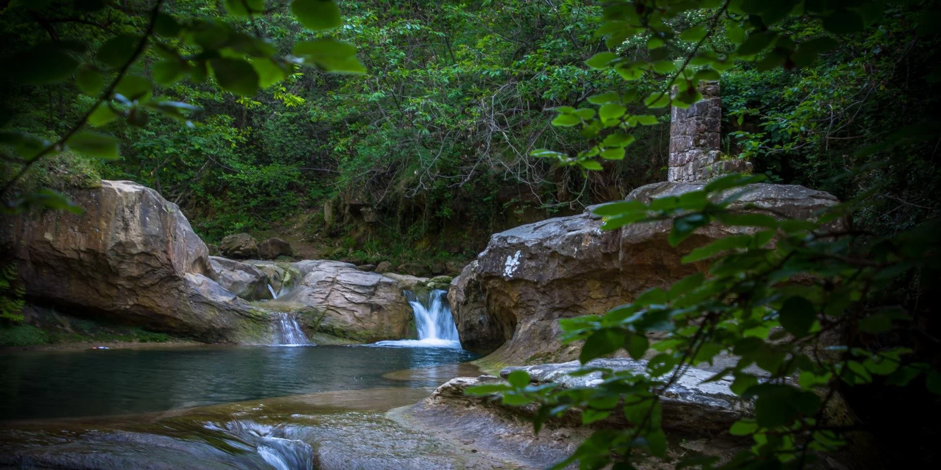 A peaceful creek flowing through a forest with green foliage, rocks, and a small waterfall.