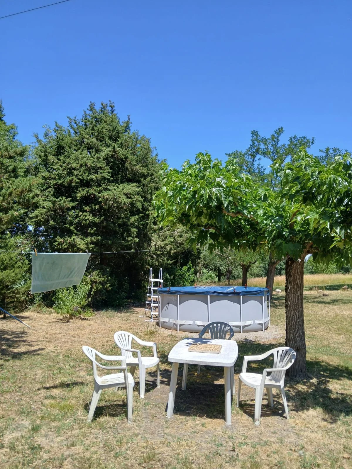 An outdoor backyard scene with a small above-ground pool, white patio chairs, a white table, a ladder, trees, a clothesline with cloth, and sunny weather.