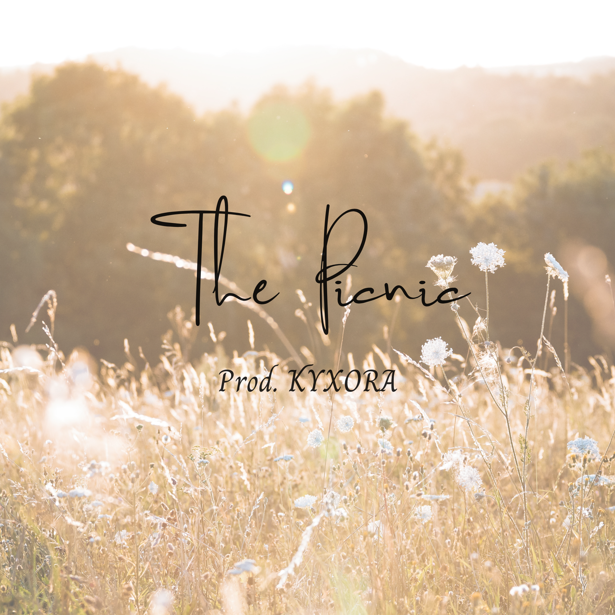KYXORA The Picnic