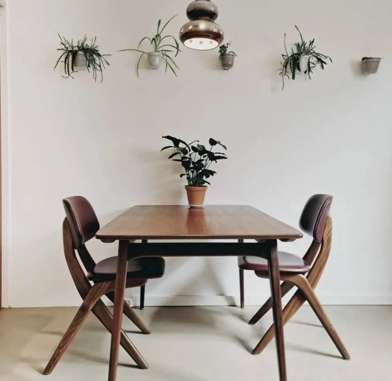Eettafel met drie stoelen en een plant in een pot, muur met vier hangende planten en een plafondlamp.