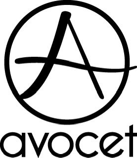 Avocet Cigar Box Guitars