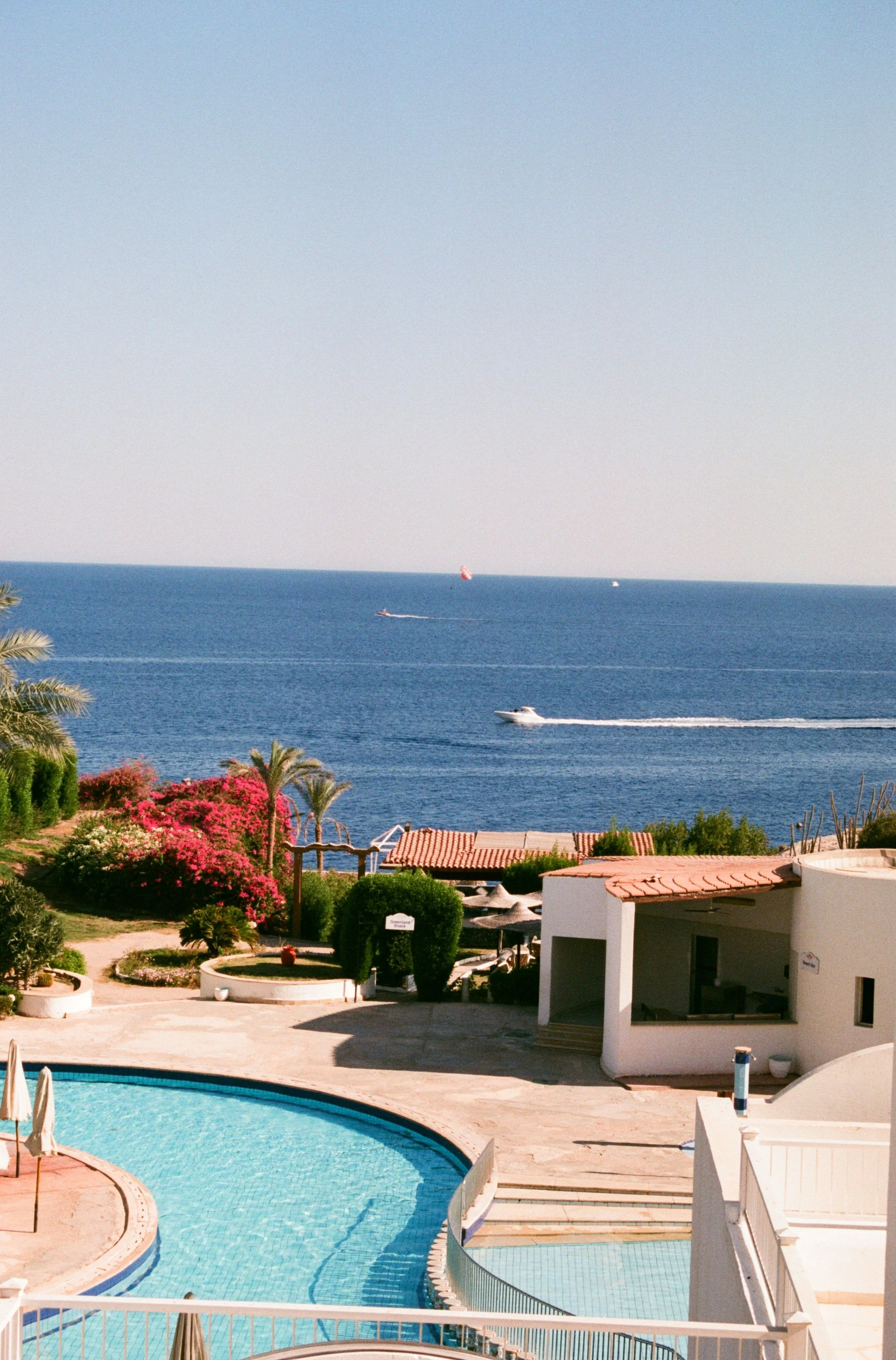 A view of a swimming pool in a residential area with a landscaped garden and a coastal ocean in the background under a clear blue sky.