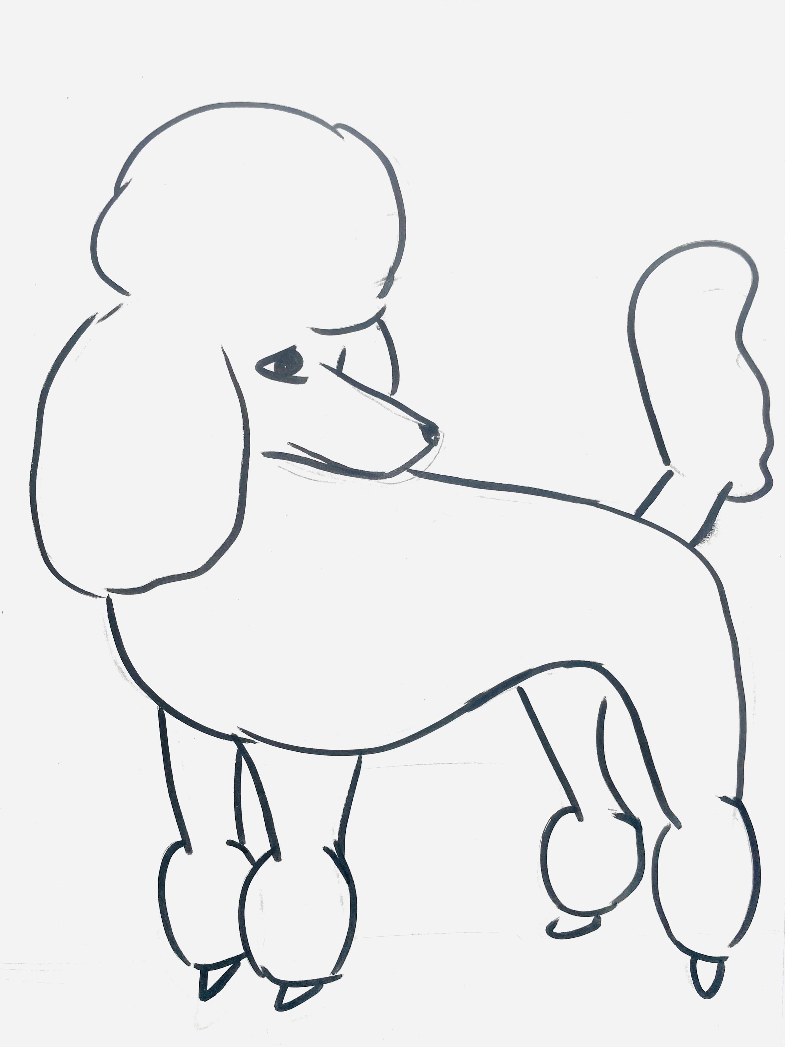 A hand-drawn sketch of a person riding a horse, with the person holding a lasso and the horse in motion.