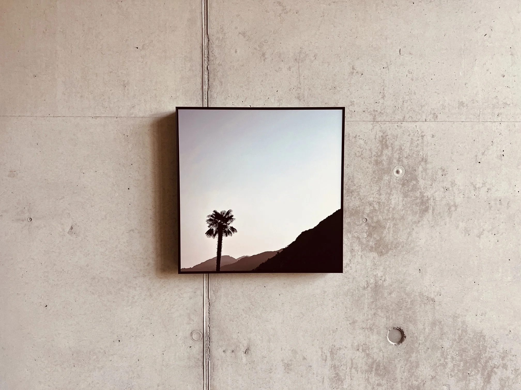 vanessa seuffert art photo graphy.jpg