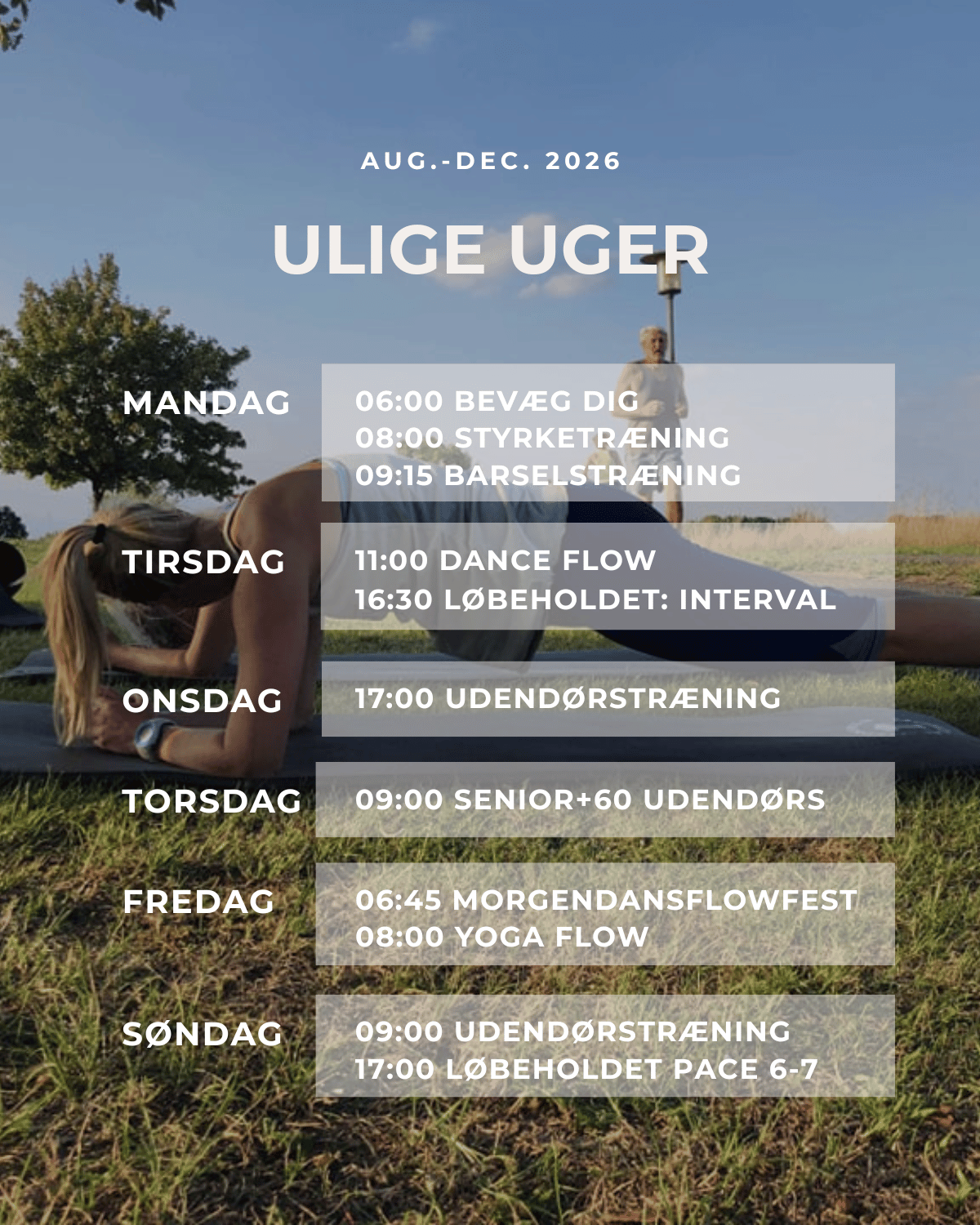 Holdplan for ulige uger med oversigt over Svedkonceptets træningshold og træningstidspunkter i Lejre.