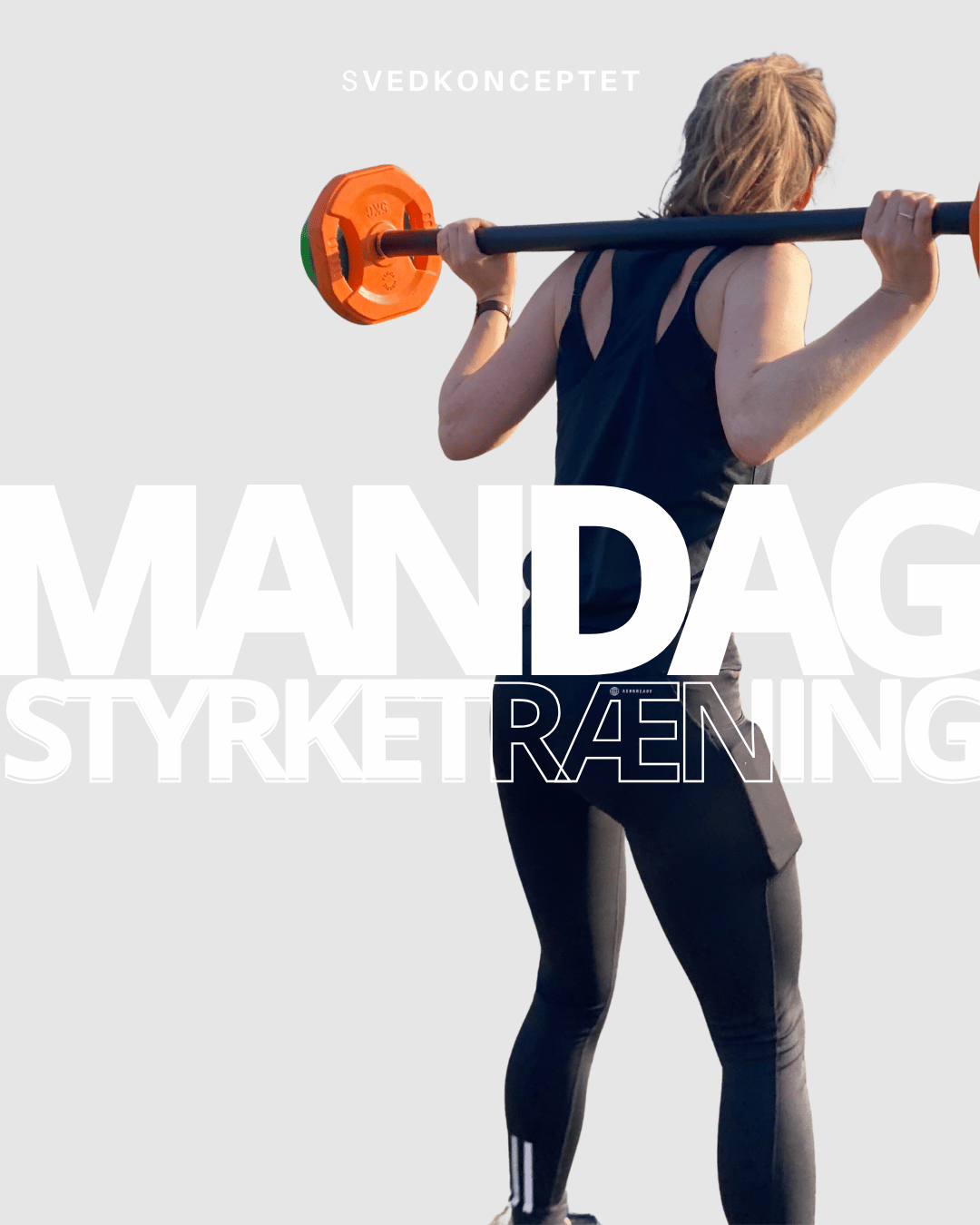 STYRKETRÆNING I FELIX