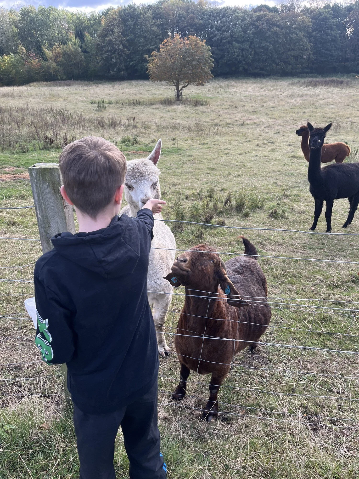 Wellbeing through the outdoors