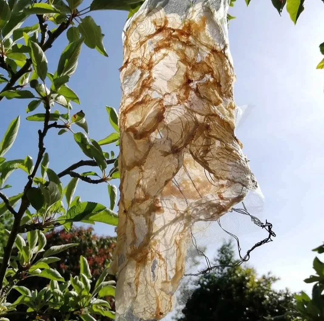 Paper sculpture made from dried dyed teabags and stitch