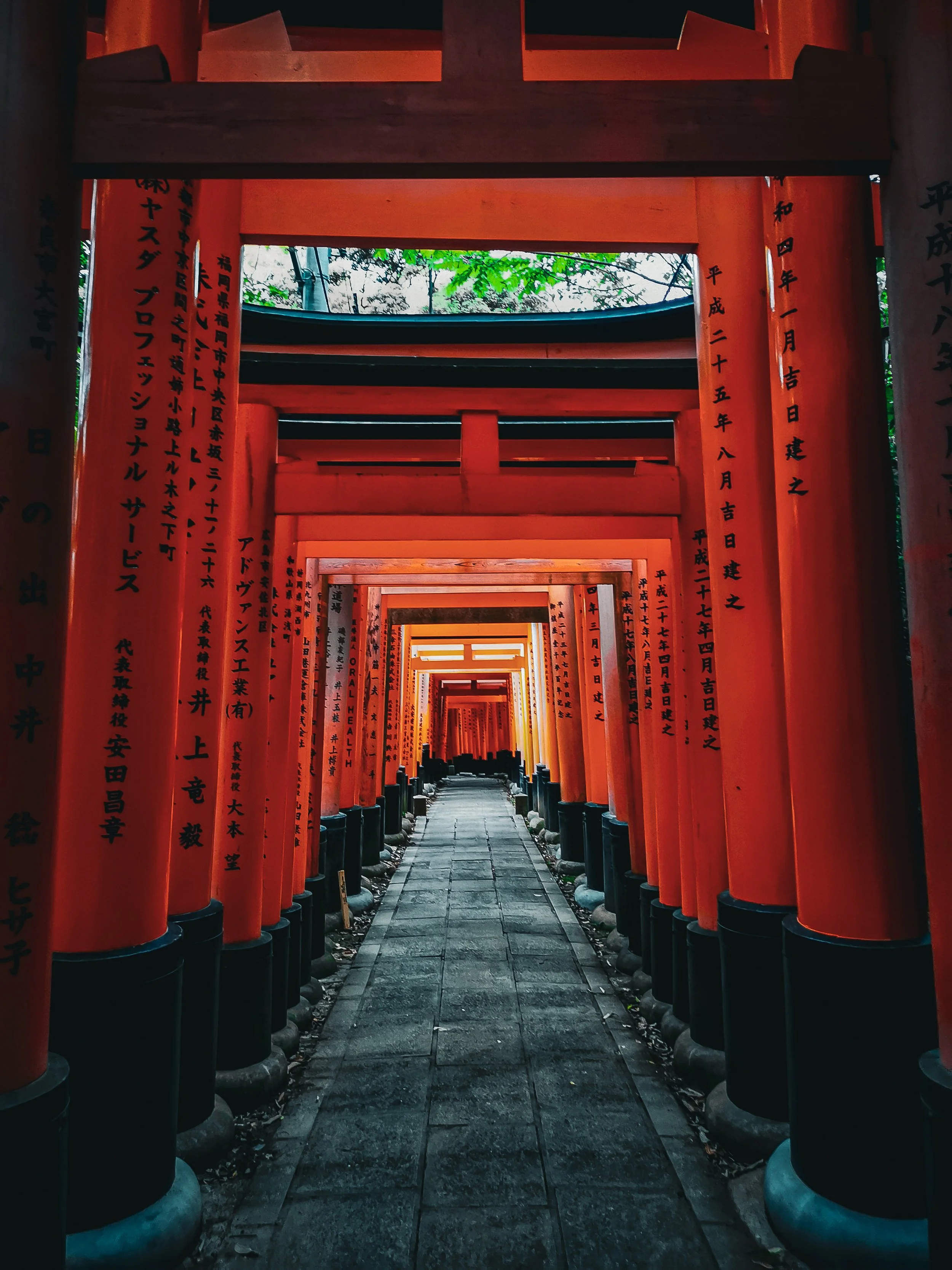 Une rangée de torii rouges alignés dans un sanctuaire shintoïste japonais, créant un passage étroit. Le sol est pavé, et on peut voir des arbres avec des feuilles vertes en arrière-plan.