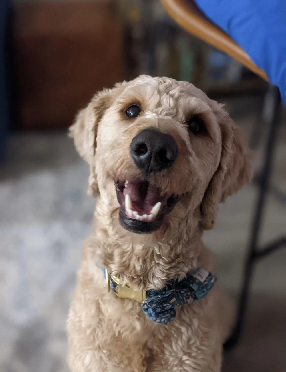 Tucker