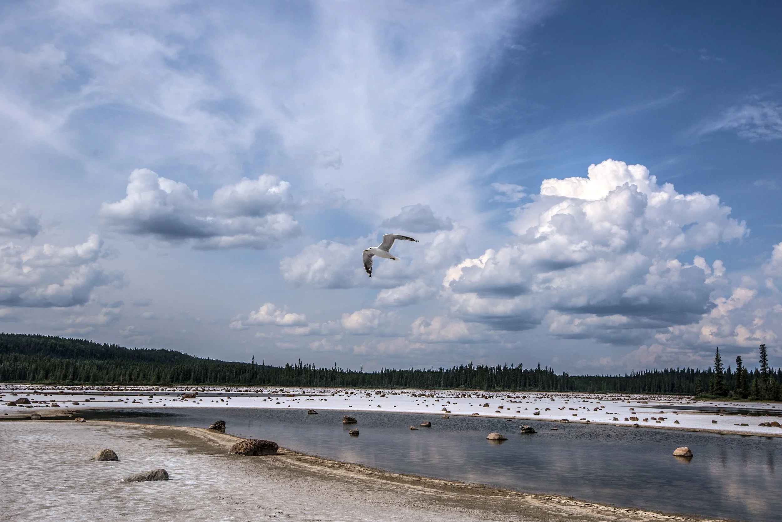 Grosbeak Salt Flats