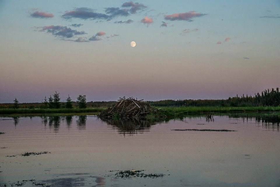 Beaver House 4 Mile Lake, Fort Smith