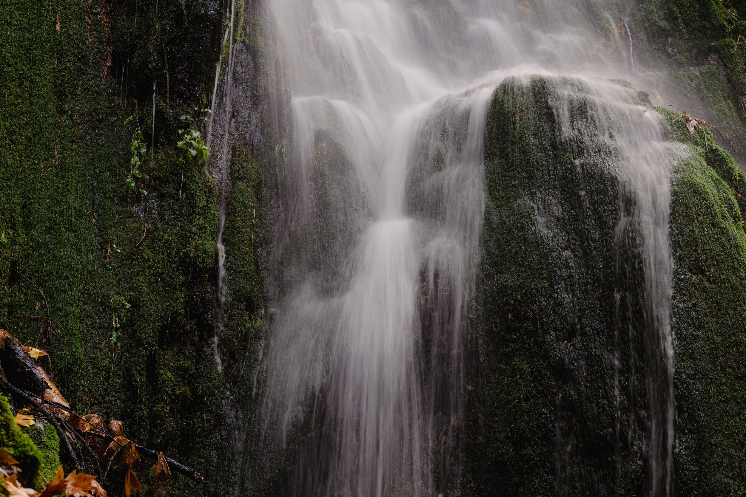 DSC_2097.jpeg