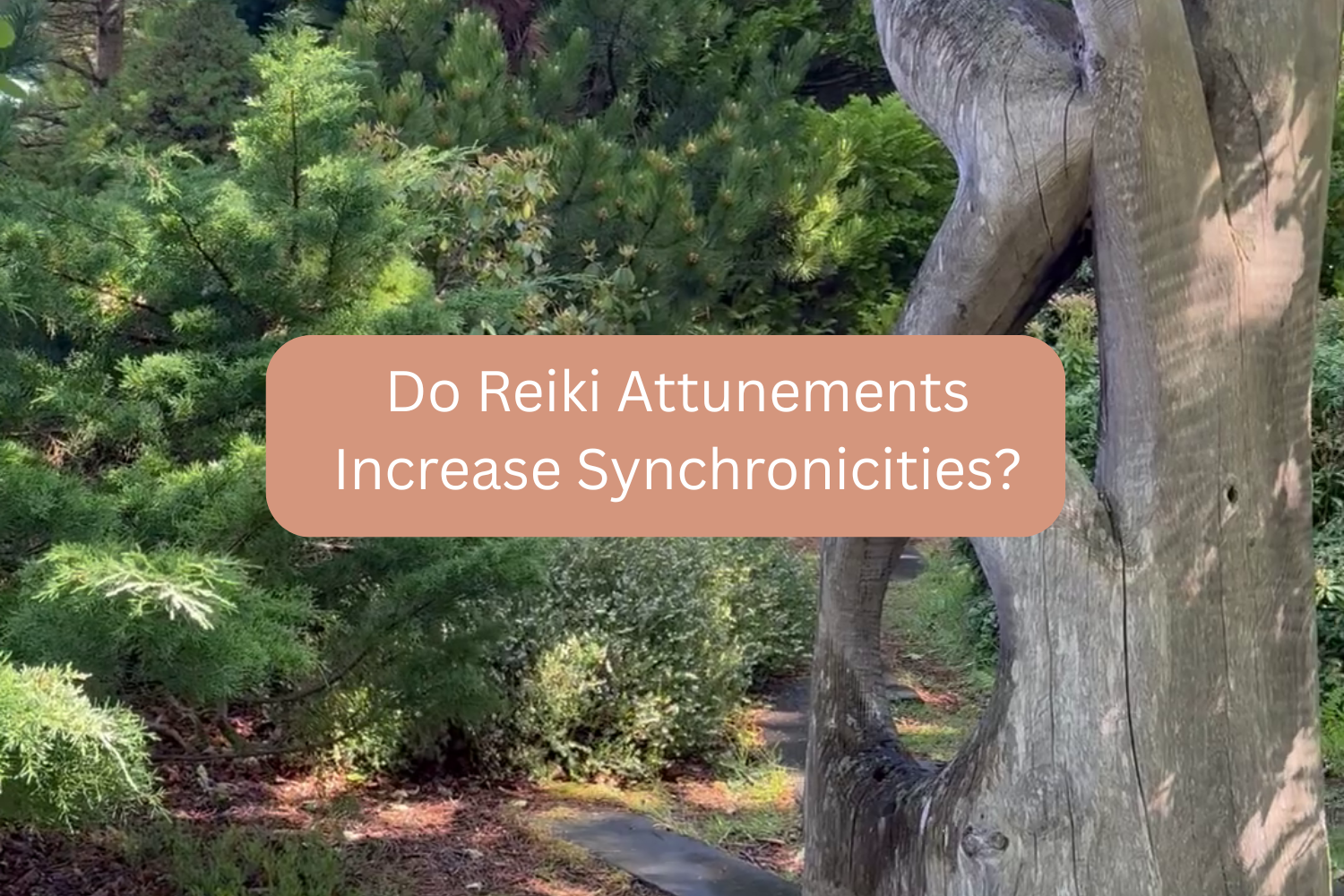 Do Reiki Attunements Increase Synchronicities?&nbsp;