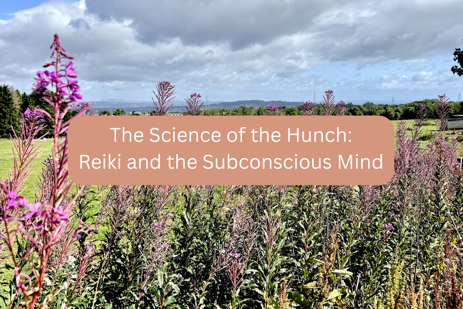 The Science of the Hunch: Reiki and the Subconscious Mind