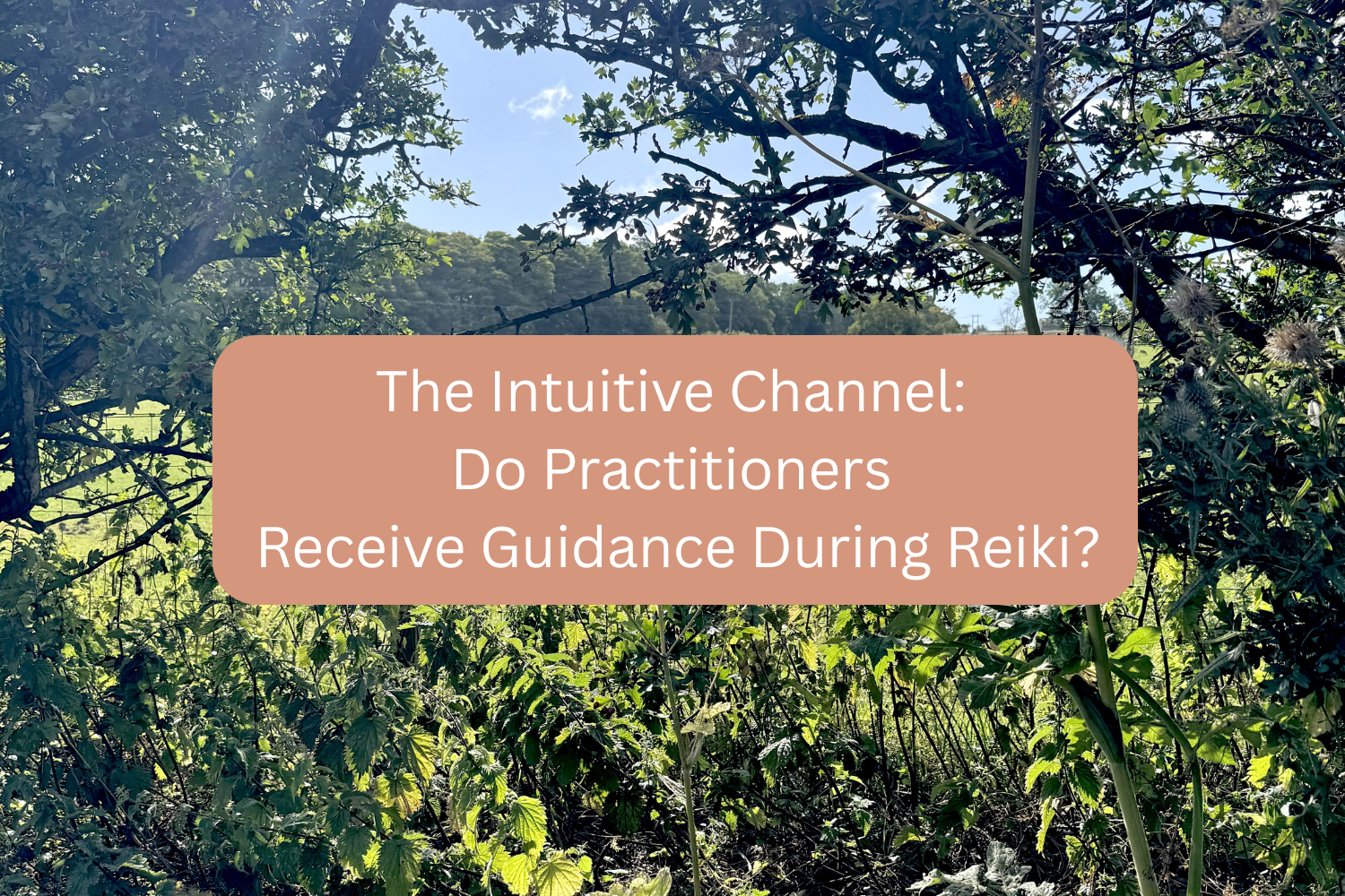 The Intuitive Channel: Do Practitioners Receive Guidance During Reiki?
