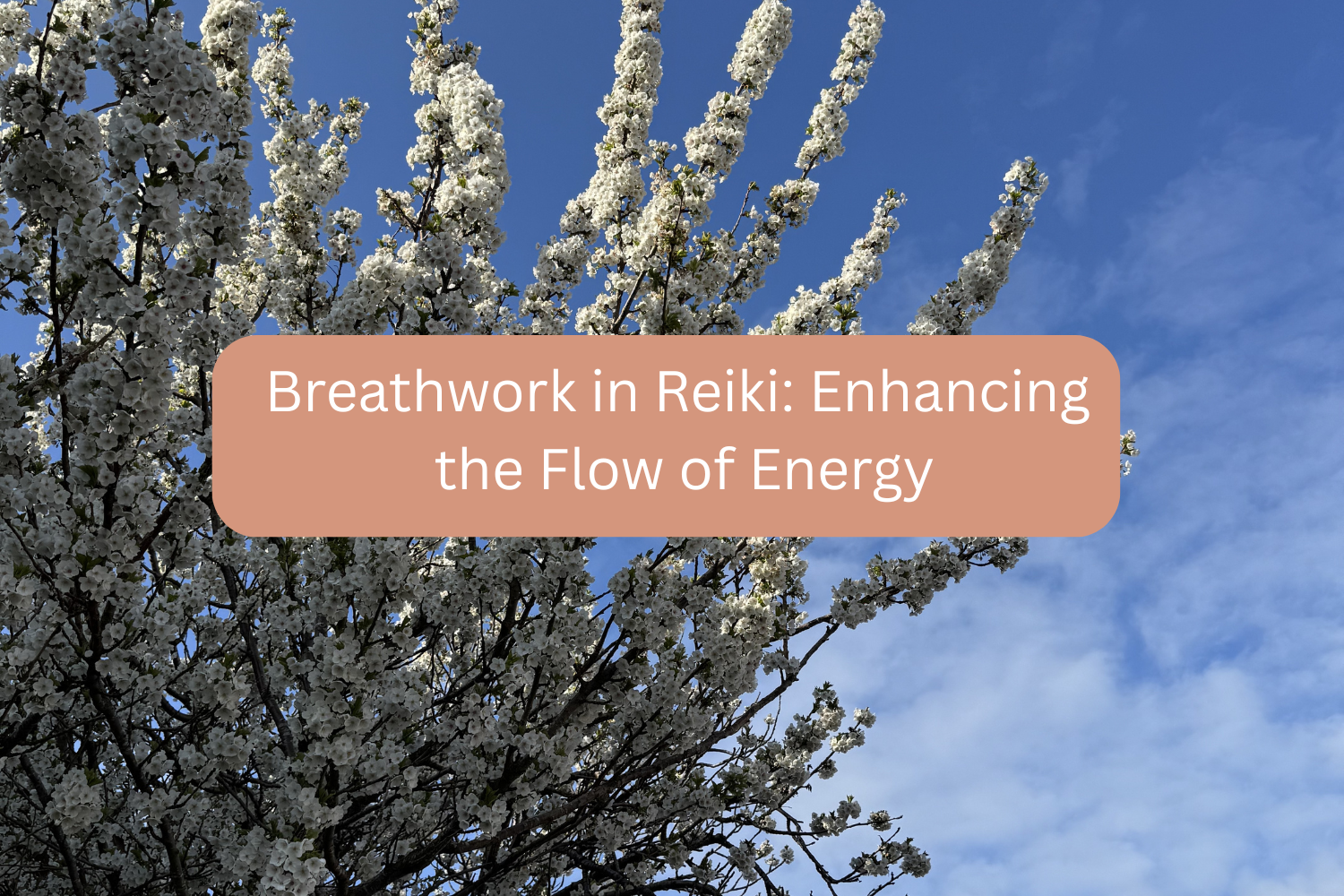 Breathwork in Reiki: Enhancing the Flow of Energy