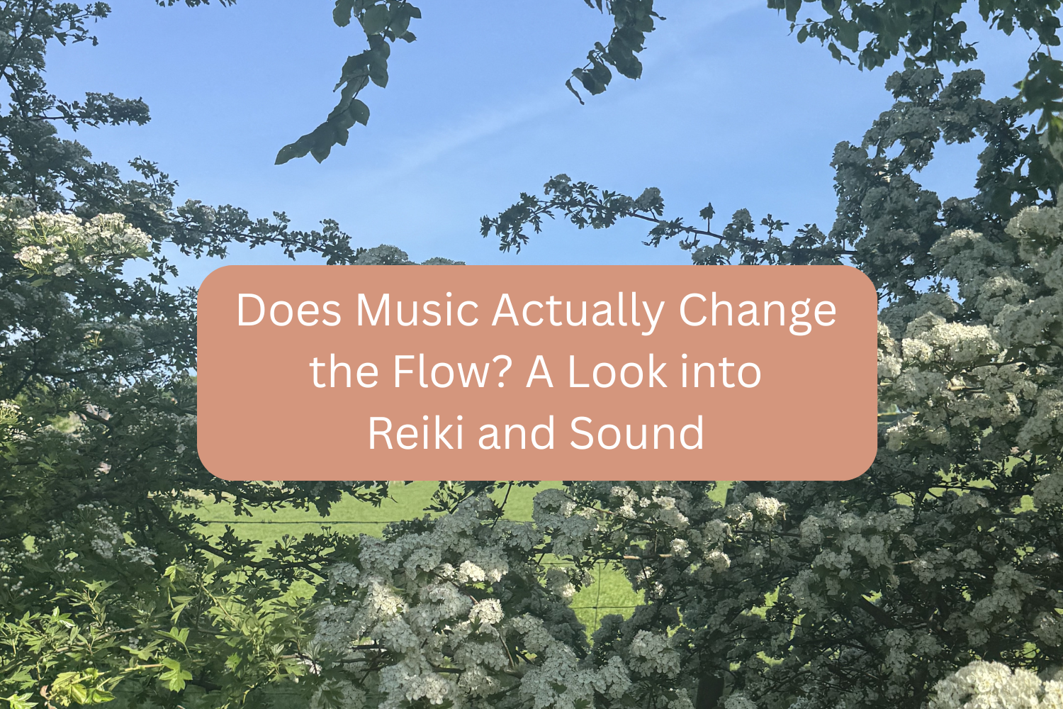 Does Music Actually Change the Flow? A Look into Reiki and Sound