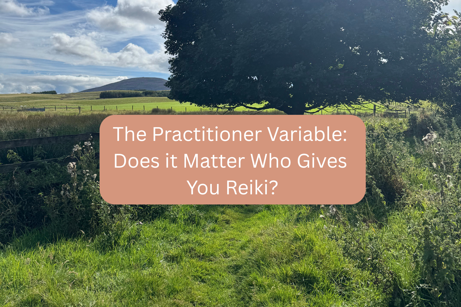 The Practitioner Variable: Does it Matter Who Gives You Reiki?