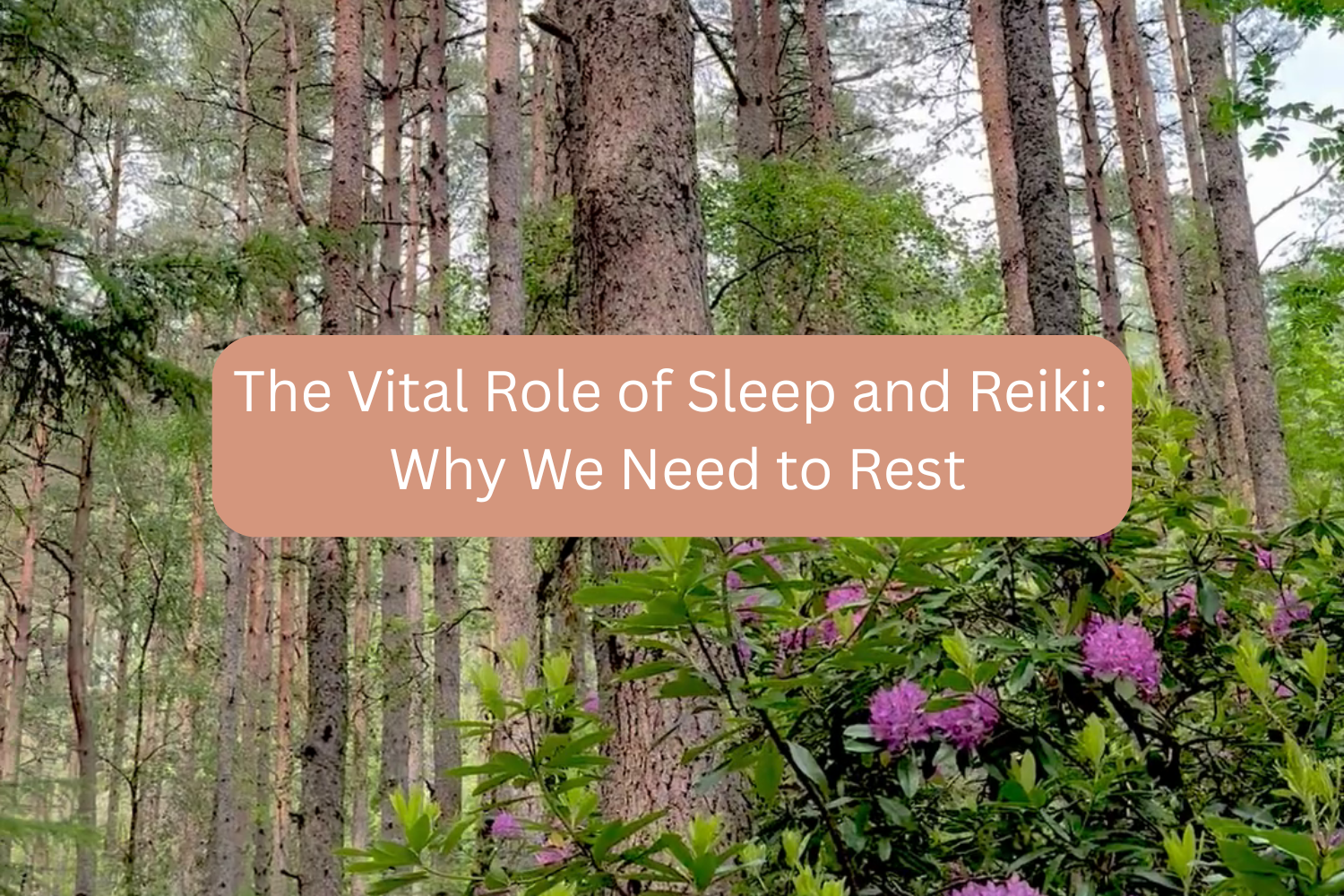 Reiki Article: The Vital Role of Sleep and Reiki