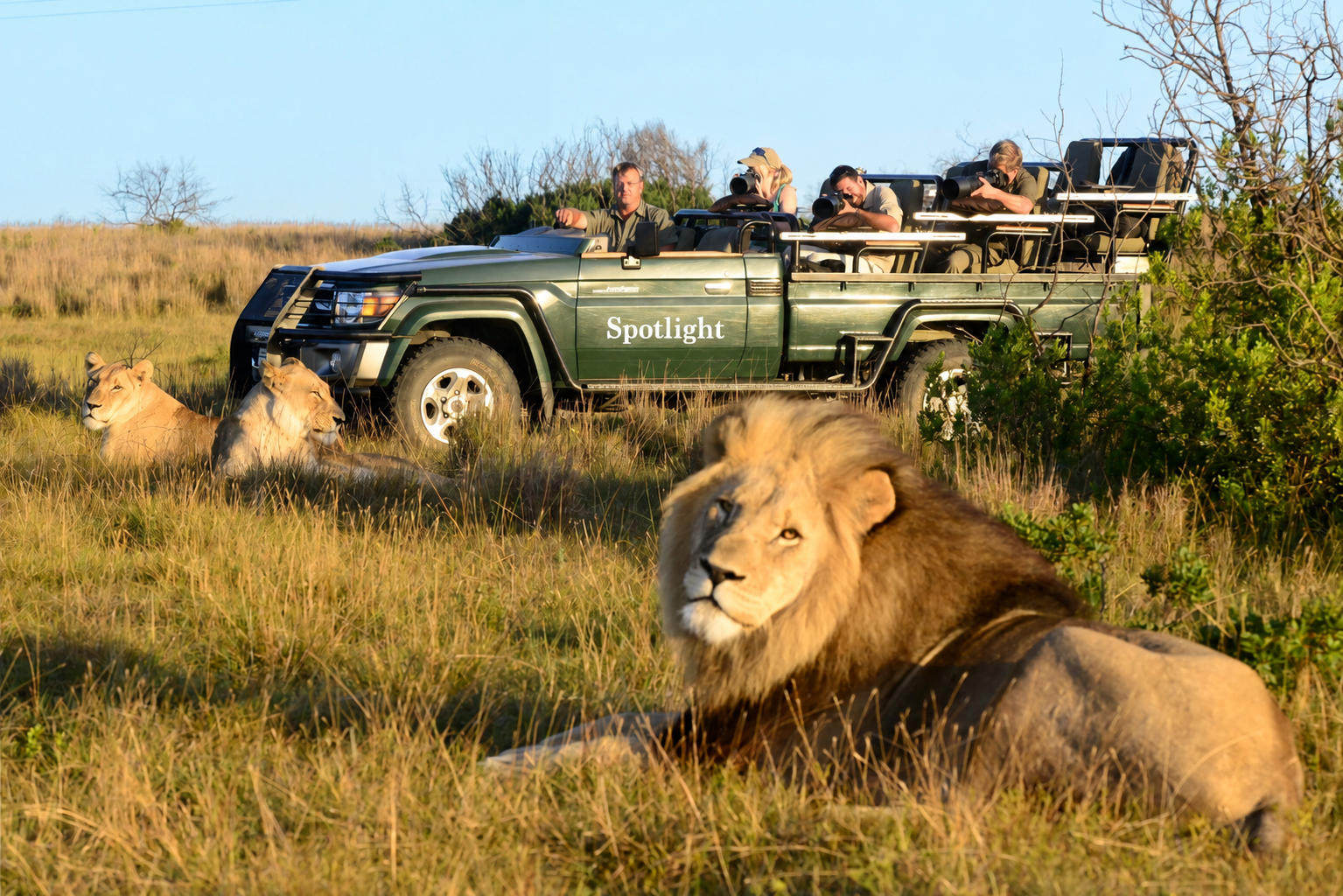 Tourists in a safari vehicle watching lions resting on the grassland.