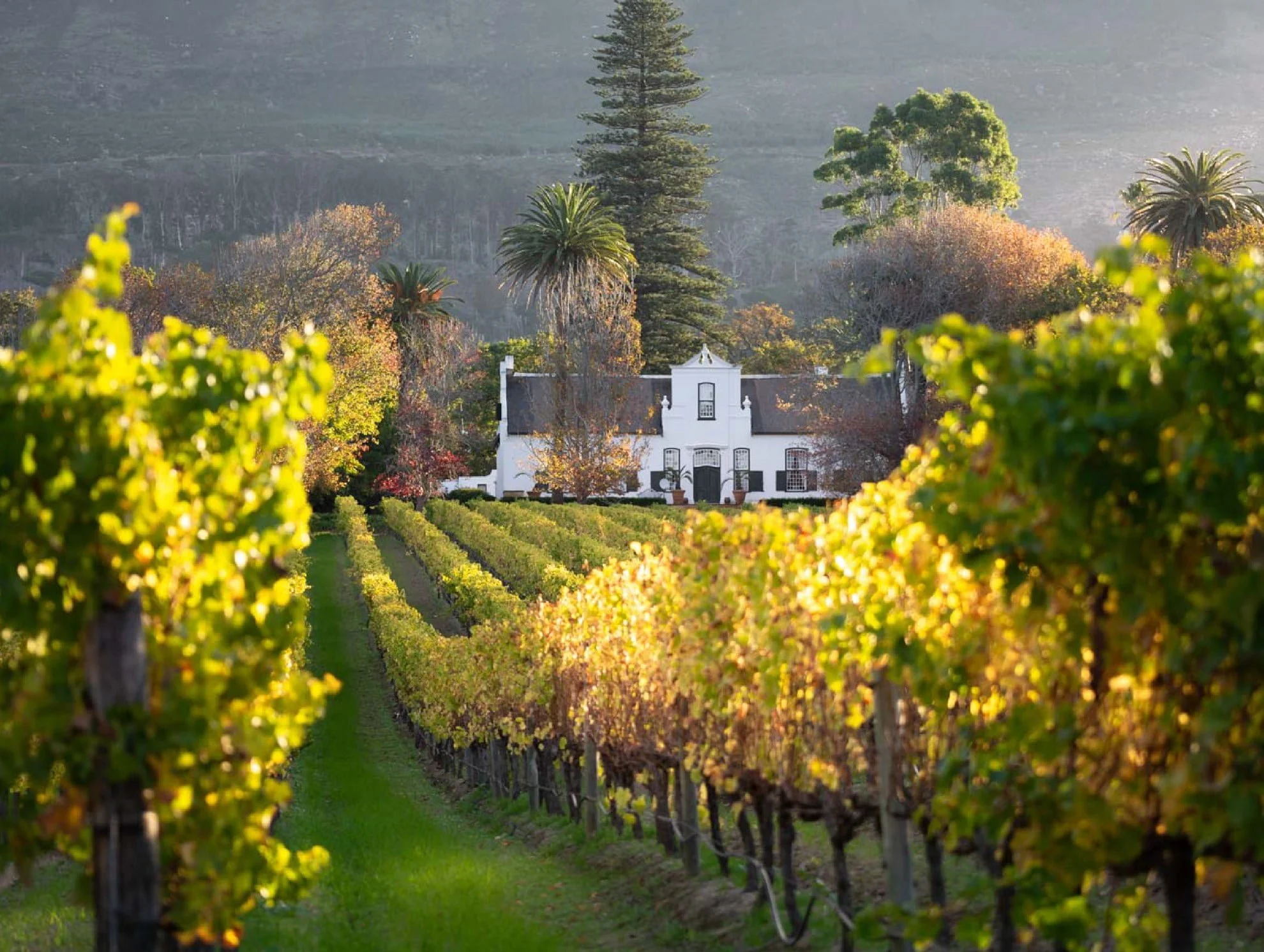 Constantia