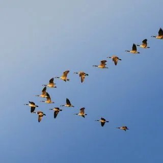 Führungskräfte- und Teamentwicklung.
Gute Führung zeichnet sich aus durch Klarheit und Konsequenz bei gleichzeitiger Wertschätzung der Person und ist die Basis für erfolgreiche Zusammenarbeit zur Zielerreichung.
