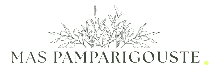 Mas Pamparigouste 