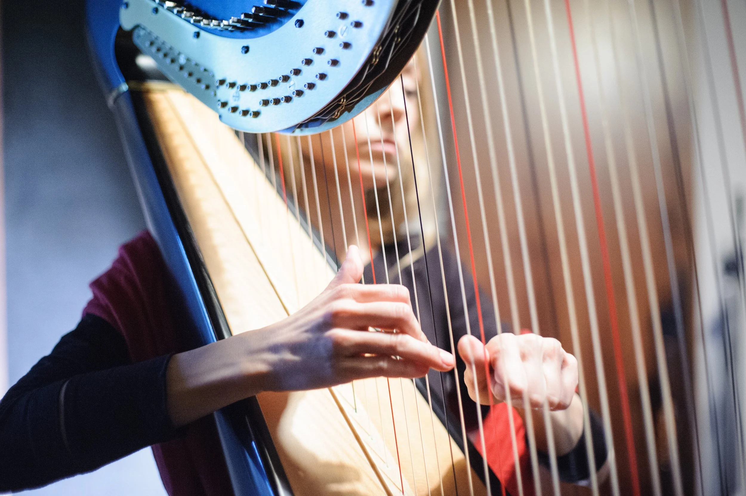 Close-up of a person playing a harp, focusing on the hands and strings, with a blurred background.