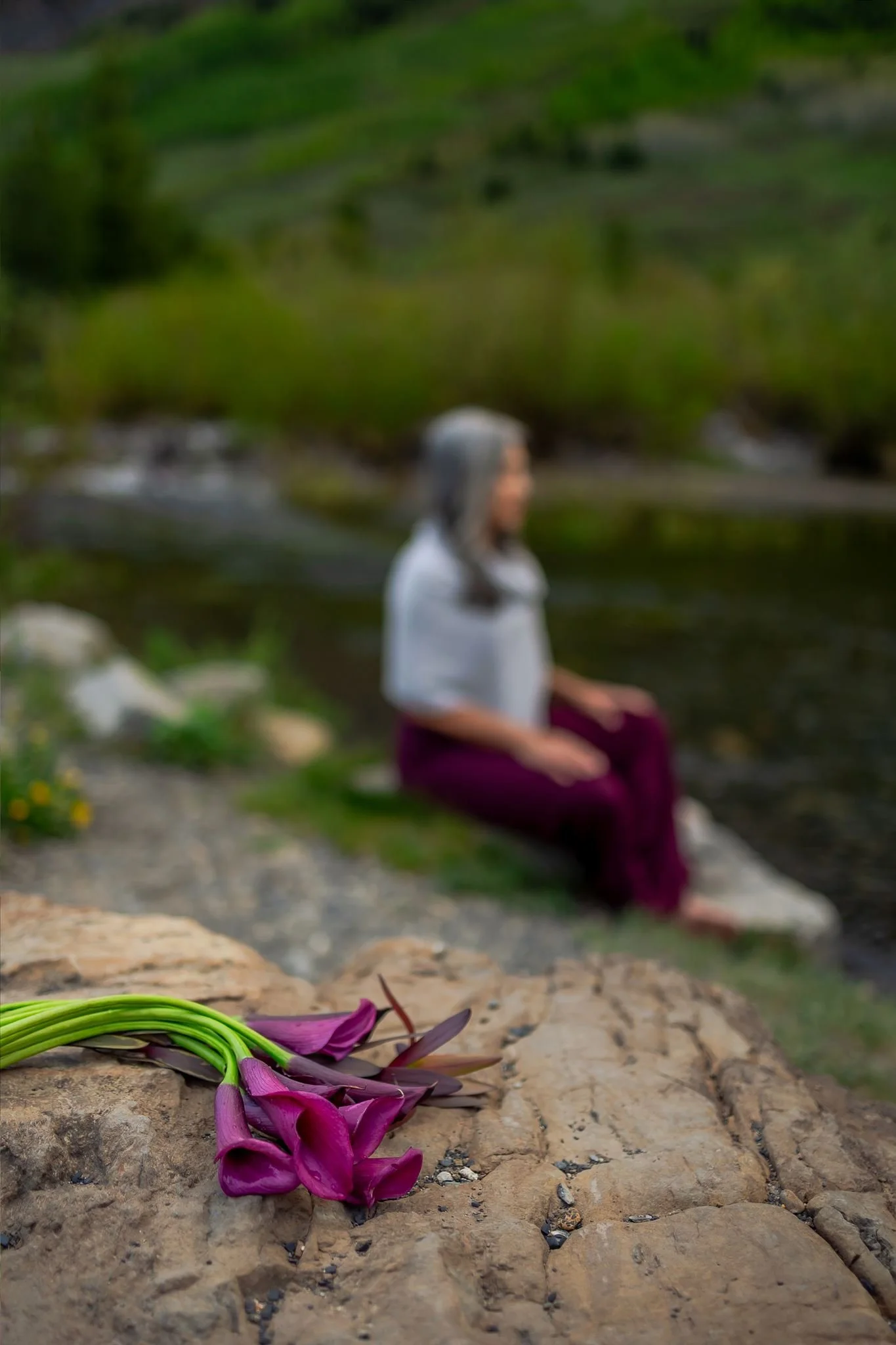 A group of purple flowers with green stems lying on a rocky surface in the foreground, with a woman in a white top and purple pants sitting on a rock near a river in a lush green landscape in the background.