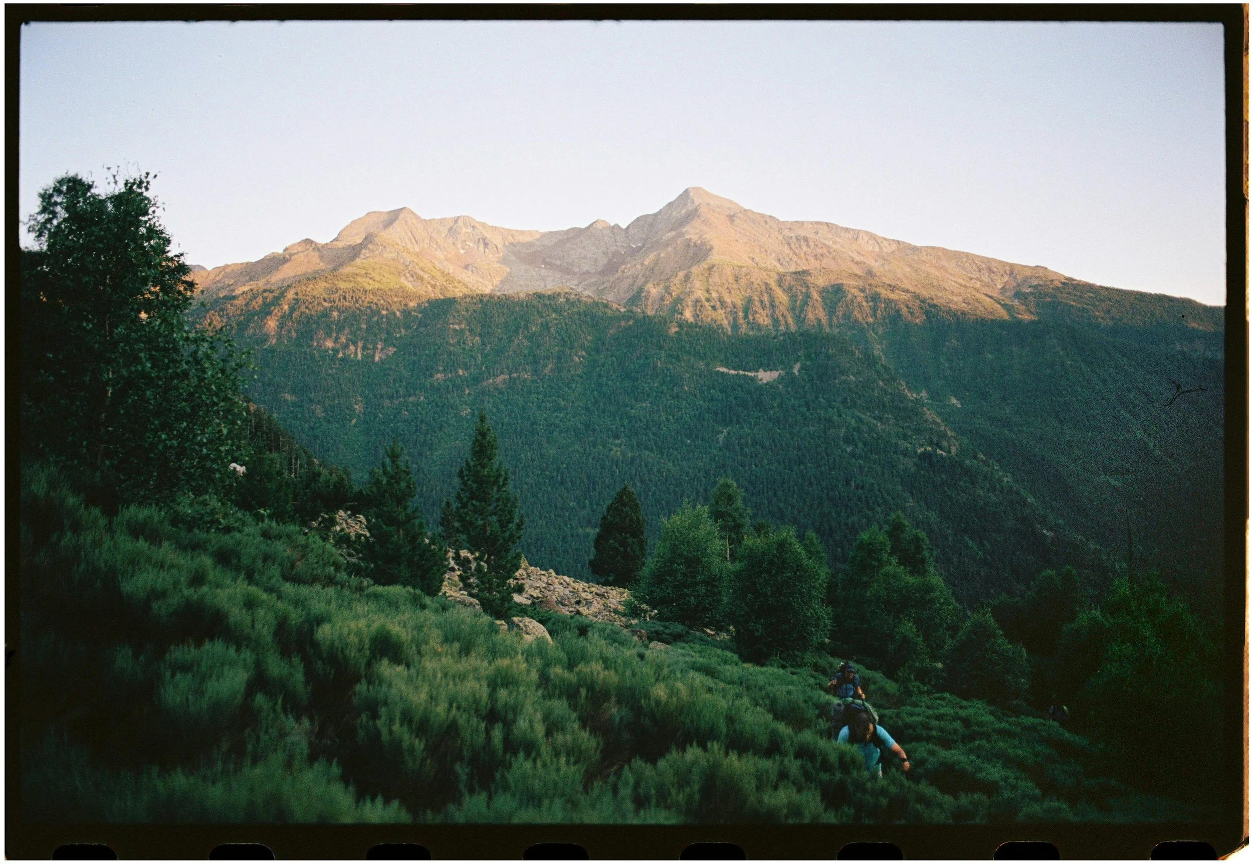 Thalia+Portfolio+Image 18.jpg