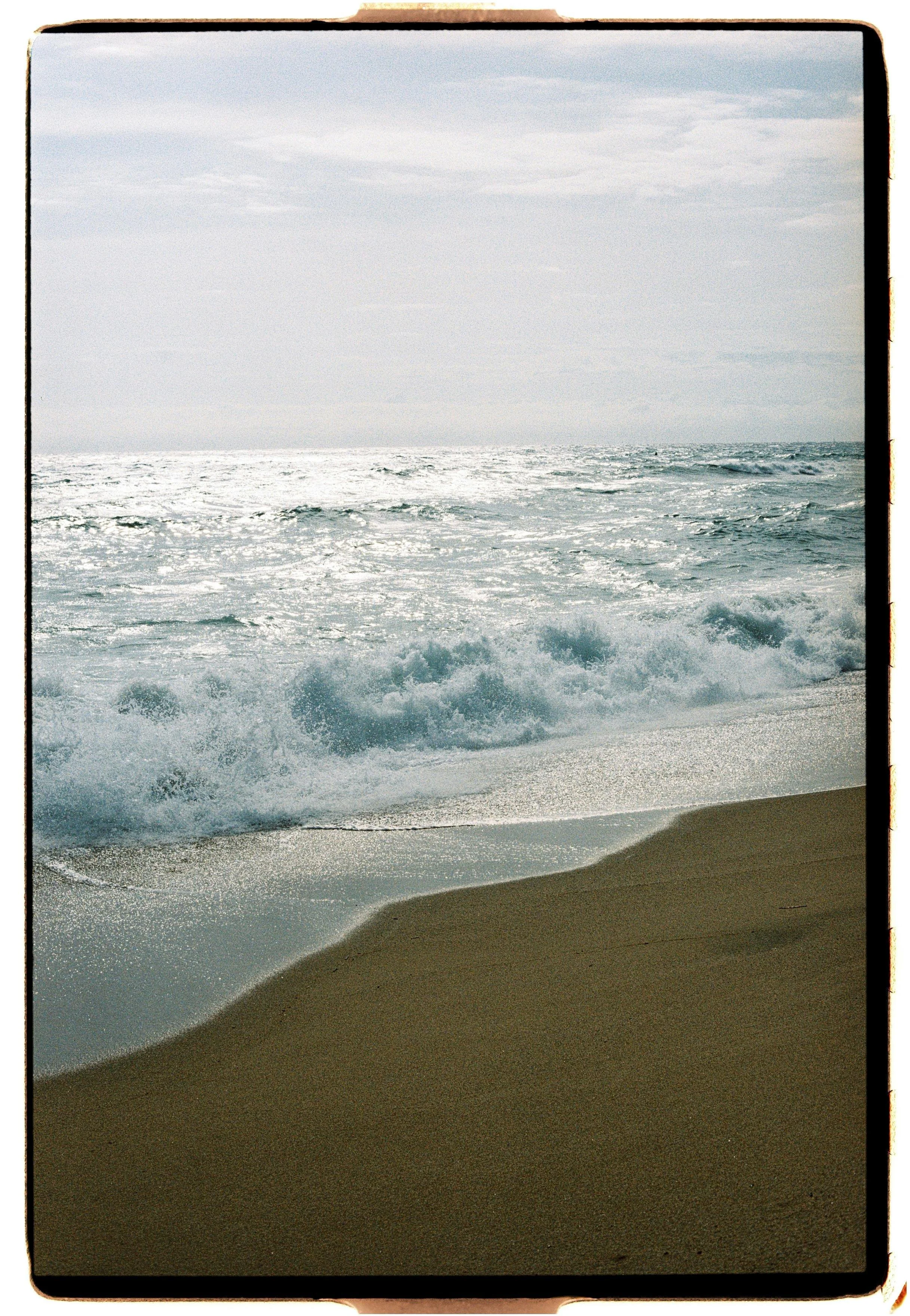 Thalia+Portfolio+Image 20.jpg