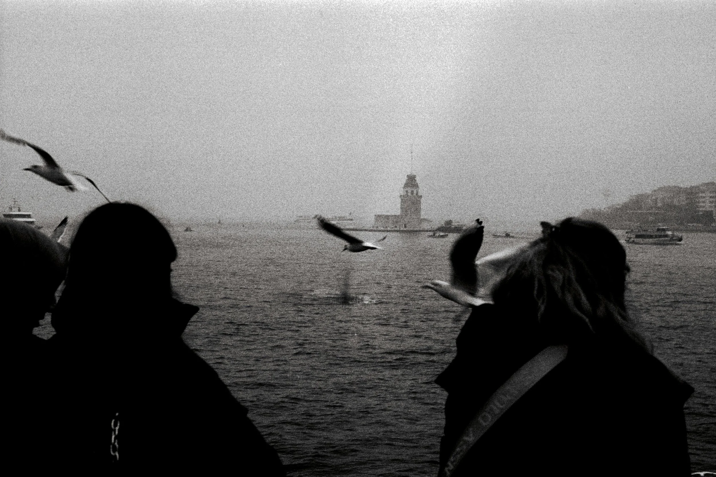 FILMING QUIET MOMENTS: ON STILLNESS, SOUND, AND PRESENCE