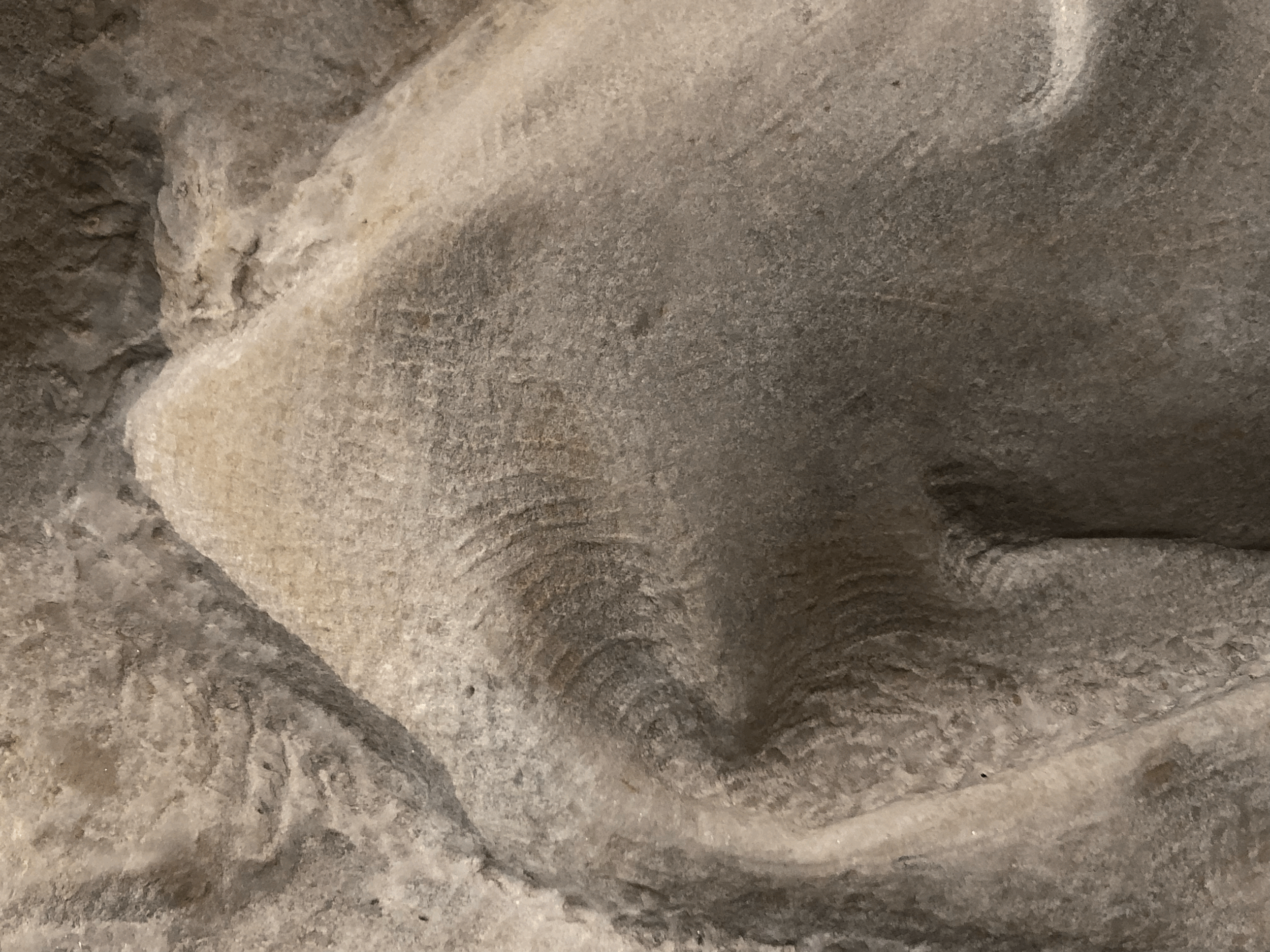 tempImagee287NK.gif