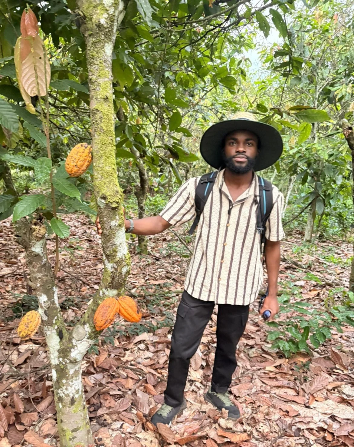 At the Source: My Visit to the Cacao Farms of Côte d’Ivoire