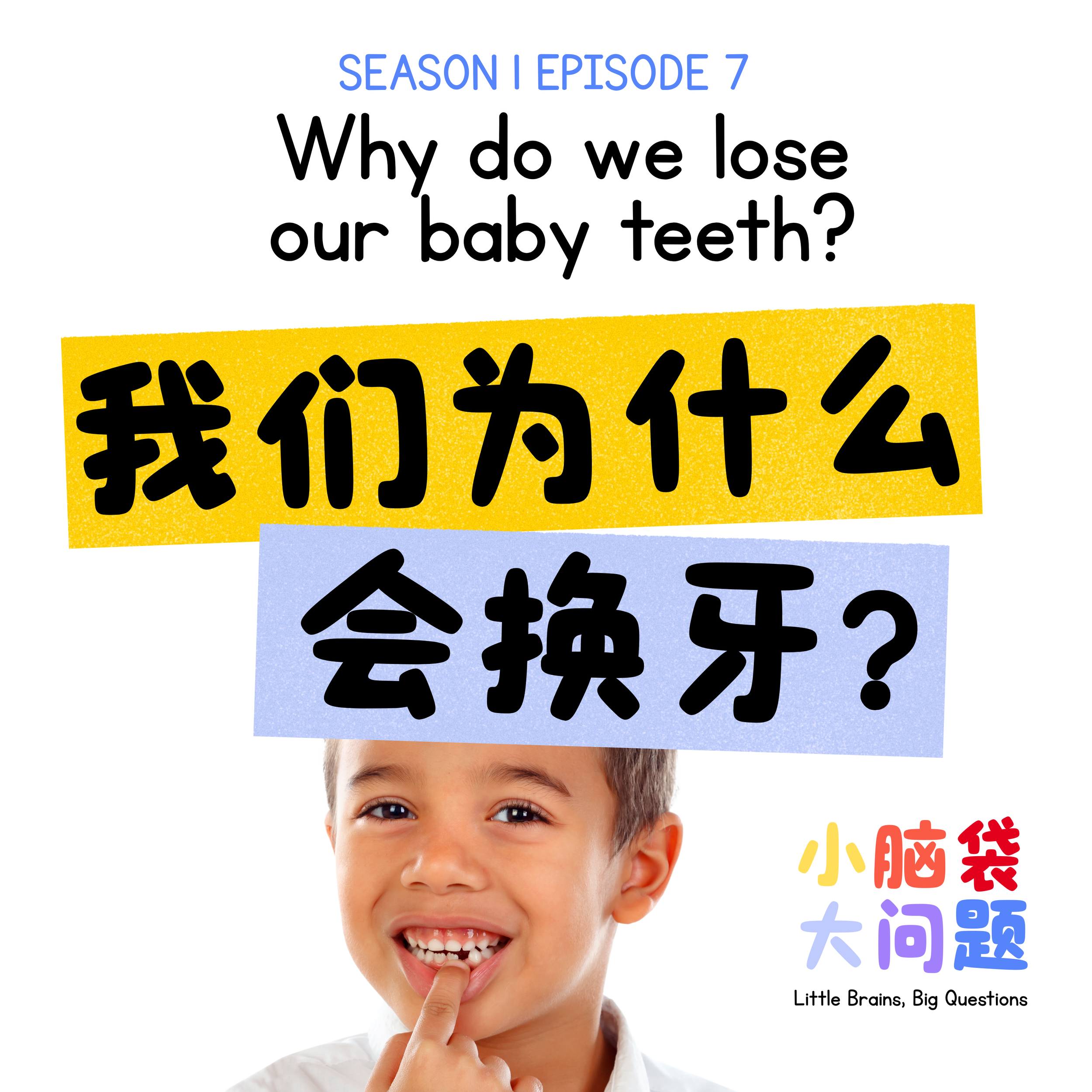 Episode 7: 我们为什么会换? Why do we lose our baby teeth?