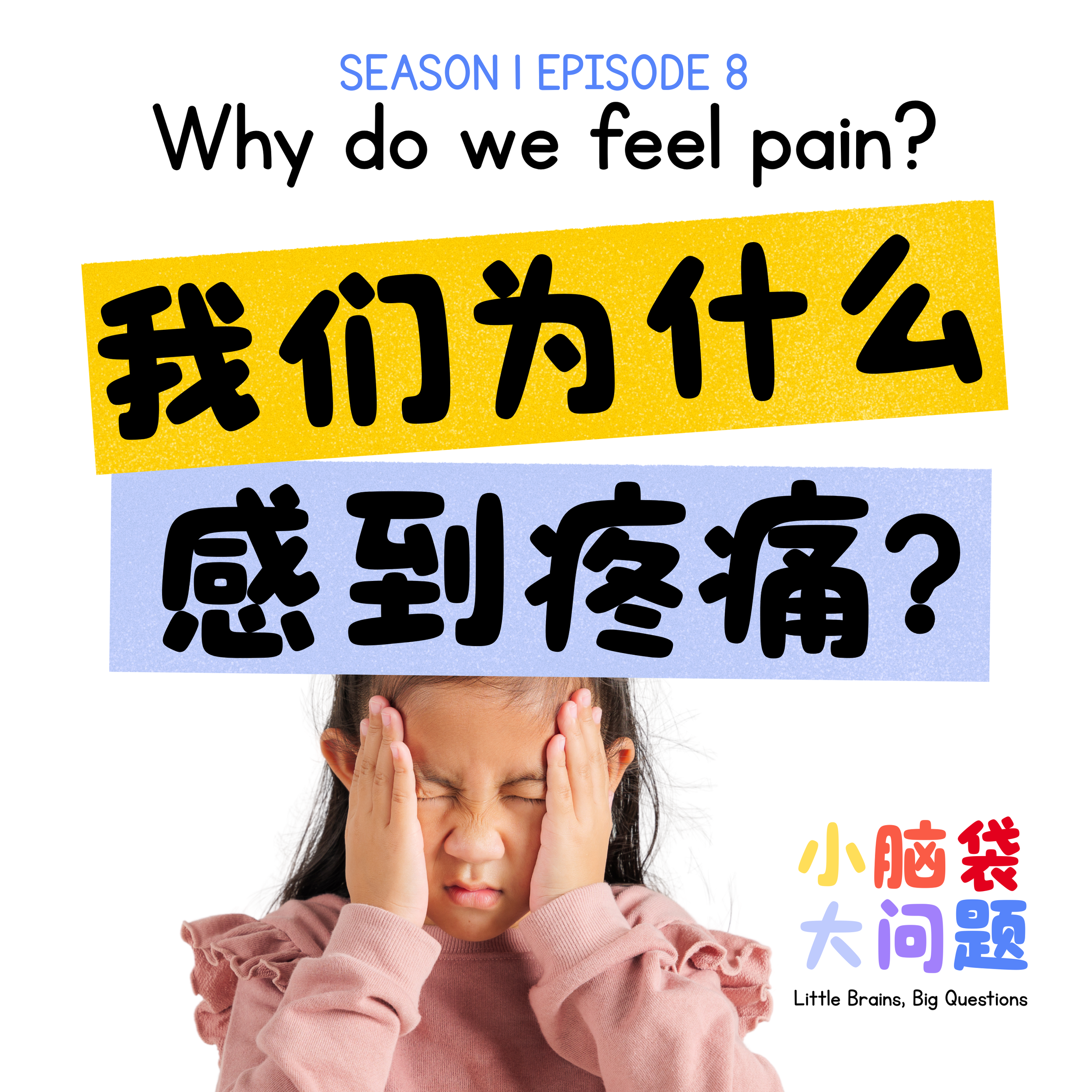 Episode 8: 我们为什么会感到疼痛？Why do we feel pain?