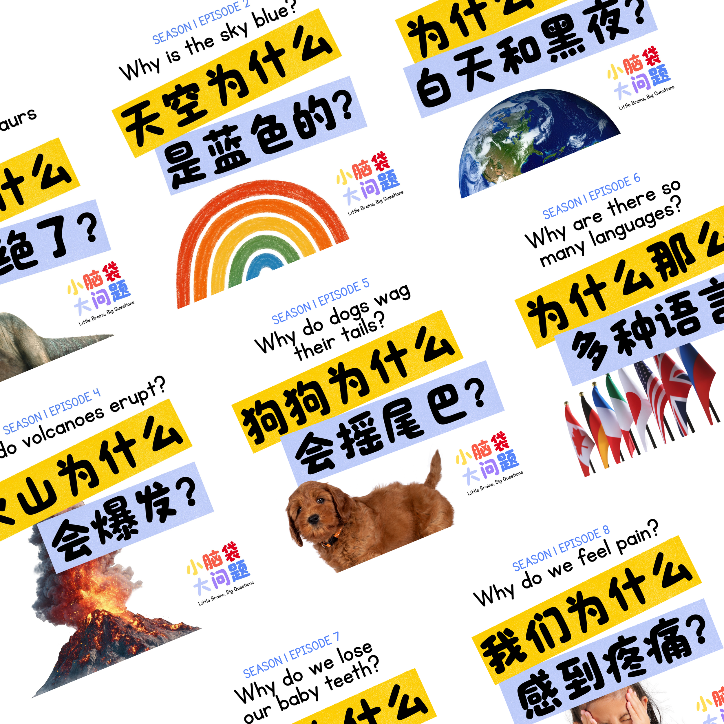 Why 小脑袋，大问题 Is Structured the Way It Is