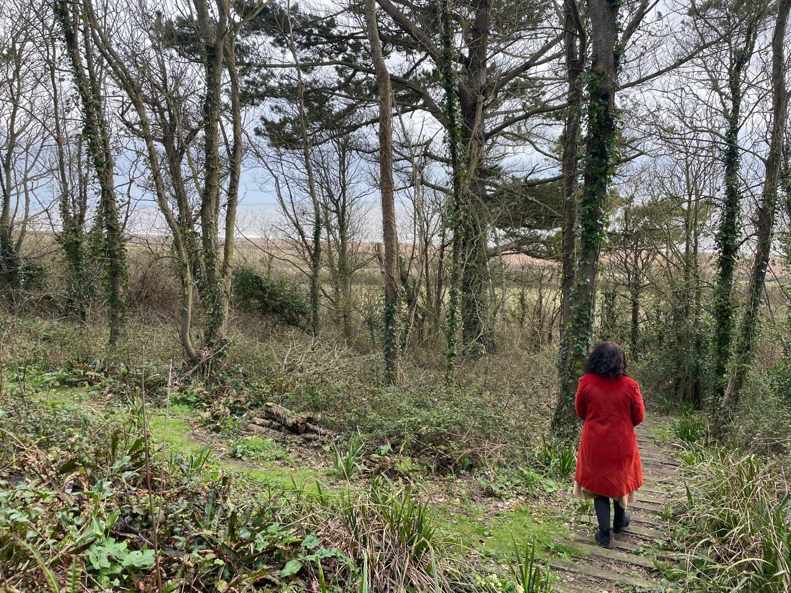 A person with curly hair wearing a red coat walking down a forest trail surrounded by leafless trees and green underbrush during daytime.