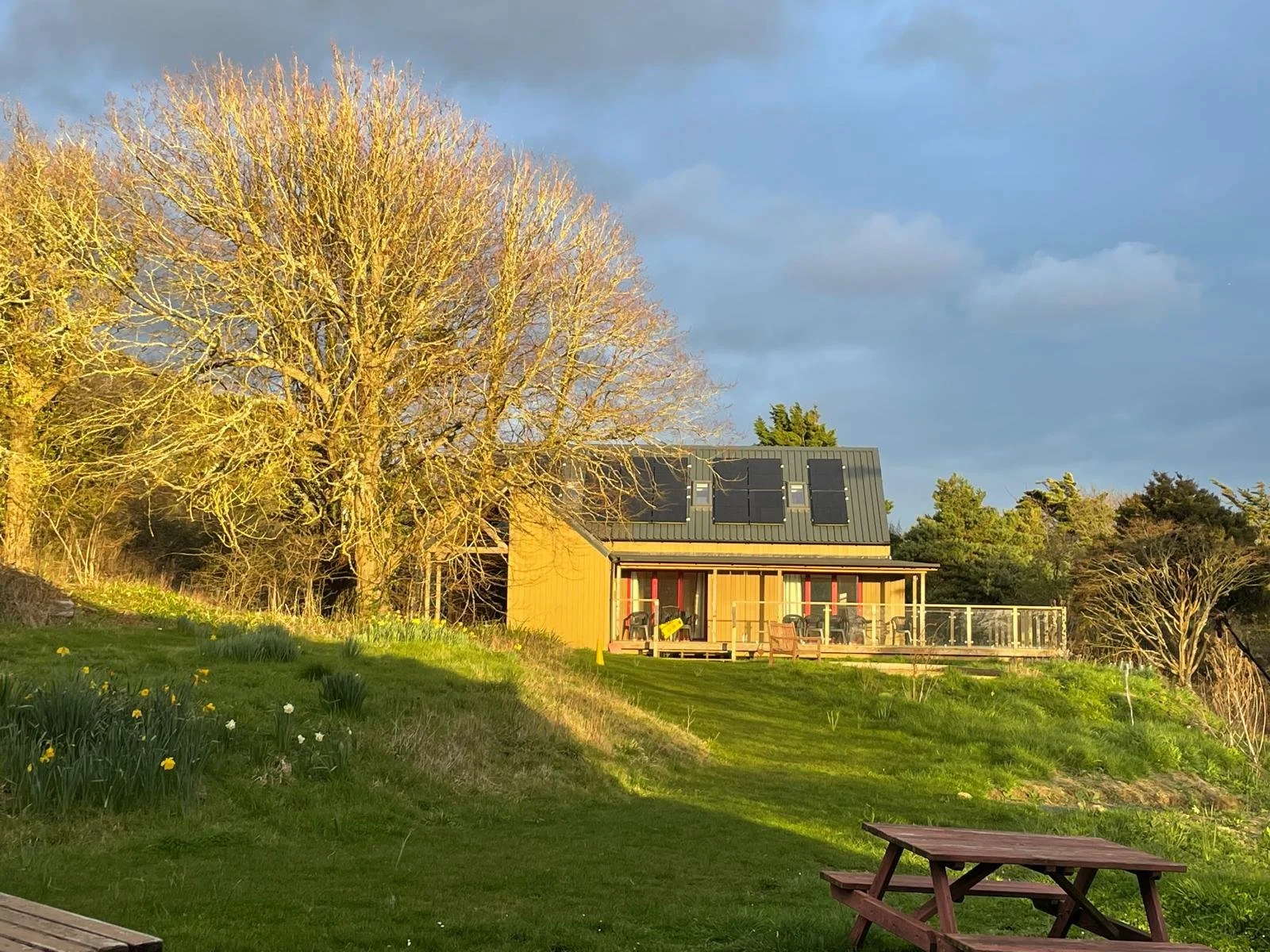 A yellow house with solar panels on the roof, a large leafless tree beside it, and a lush green lawn with a picnic table in the foreground, under a partly cloudy sky.