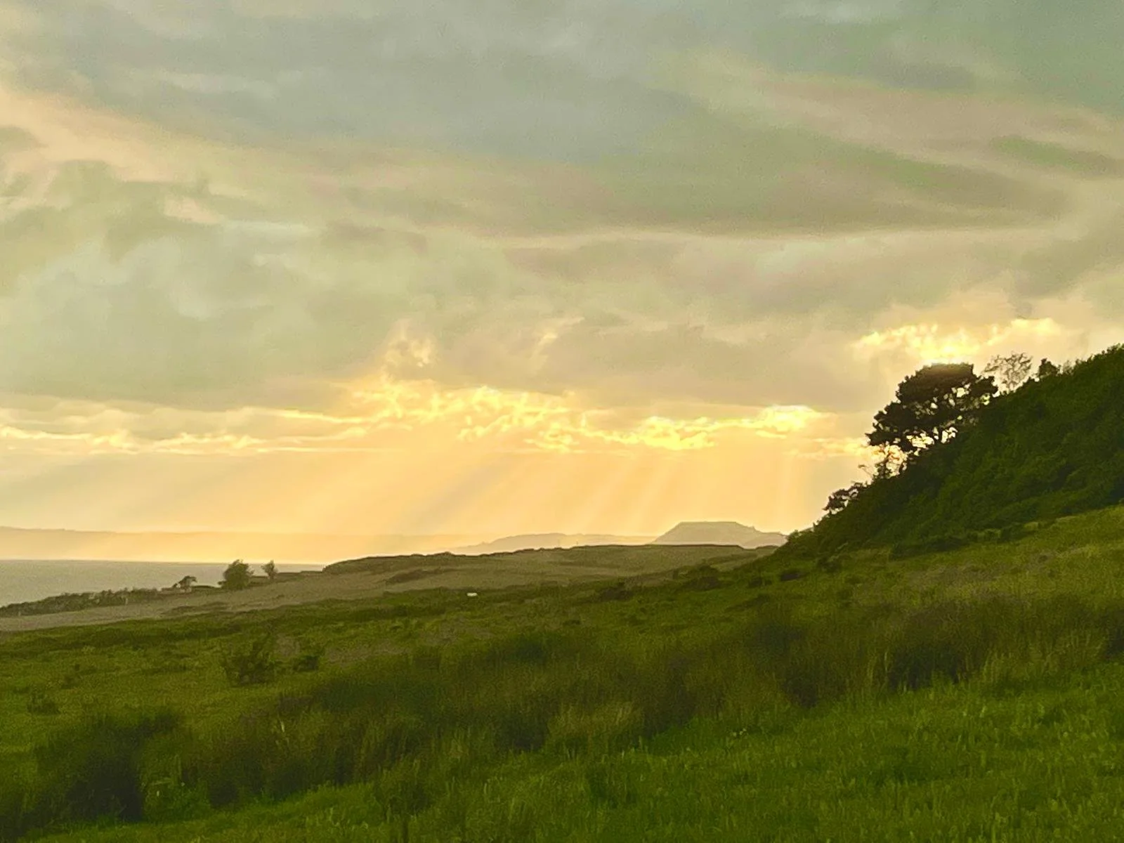 Scenic landscape of grassy hills with trees, ocean in the distance, and a cloudy sky with sun rays breaking through.
