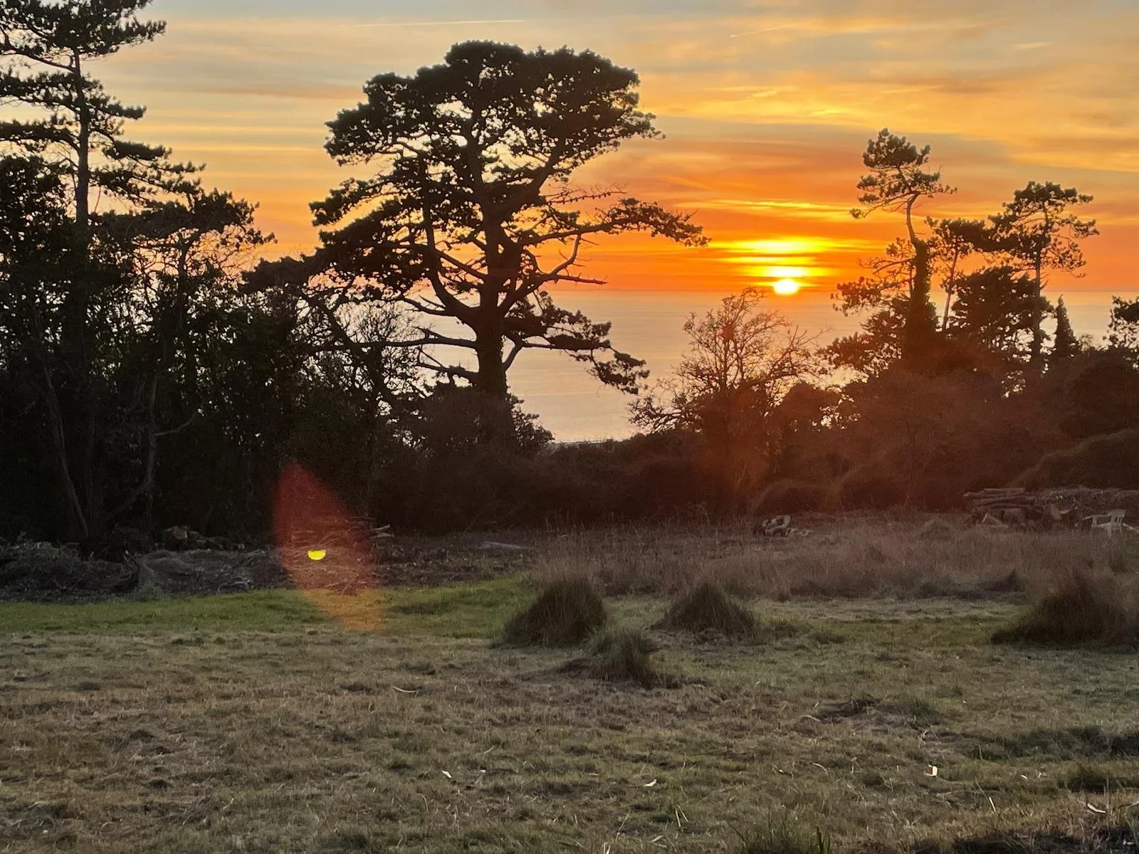 Sunset over a landscape with trees, grassy area in the foreground, and the ocean in the background. looking out over Lyme Bay for Othona.