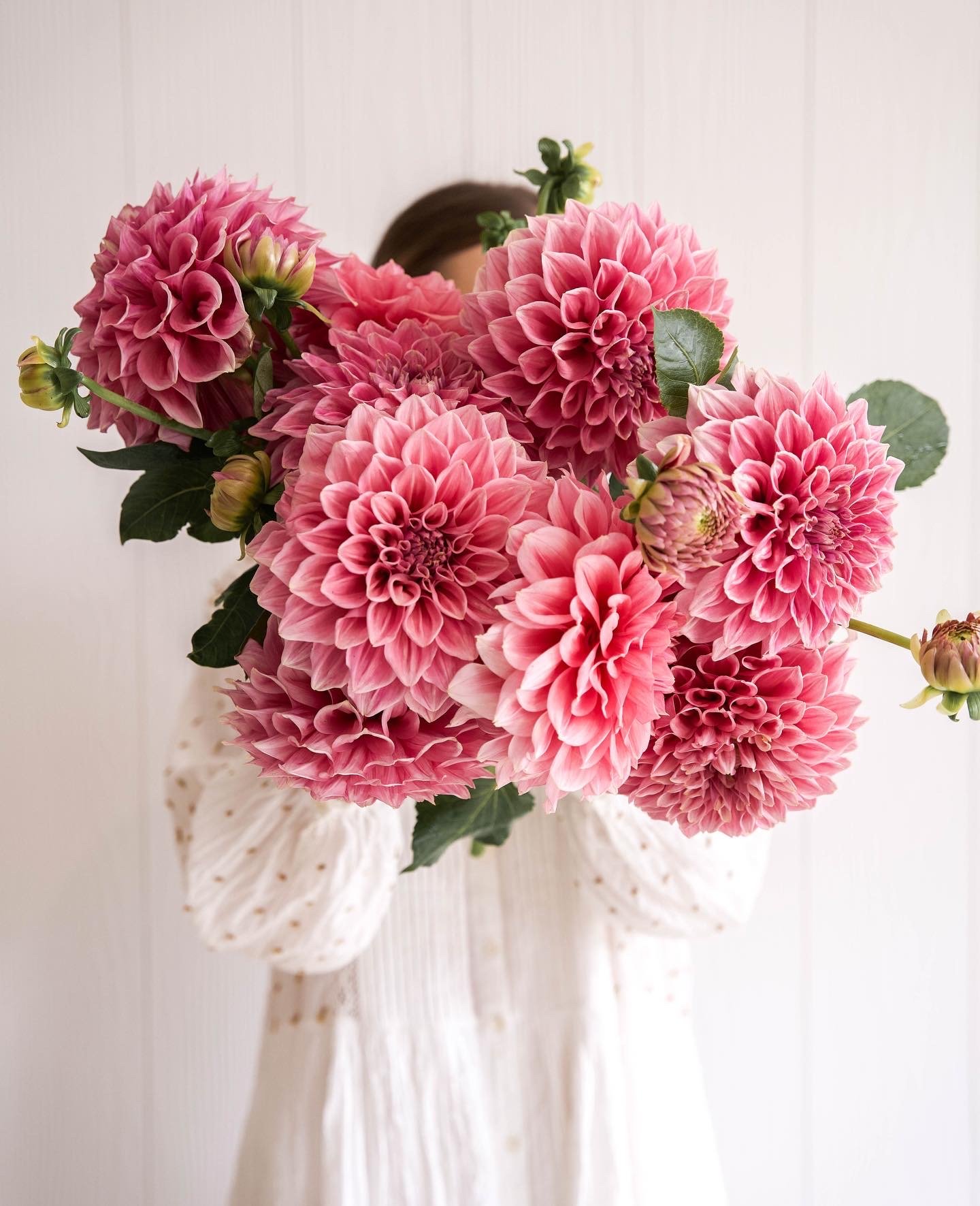Large bunch of Formby Duke dahlias grown at Blume Estate flower farm