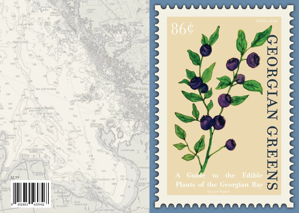 zine_covers(web).jpg